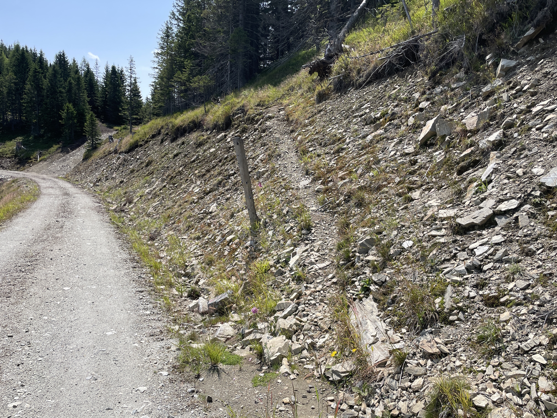 Easy to miss: Turn right here and follow the small trail into the saddle towards <i>Fensteralm</i>!!!