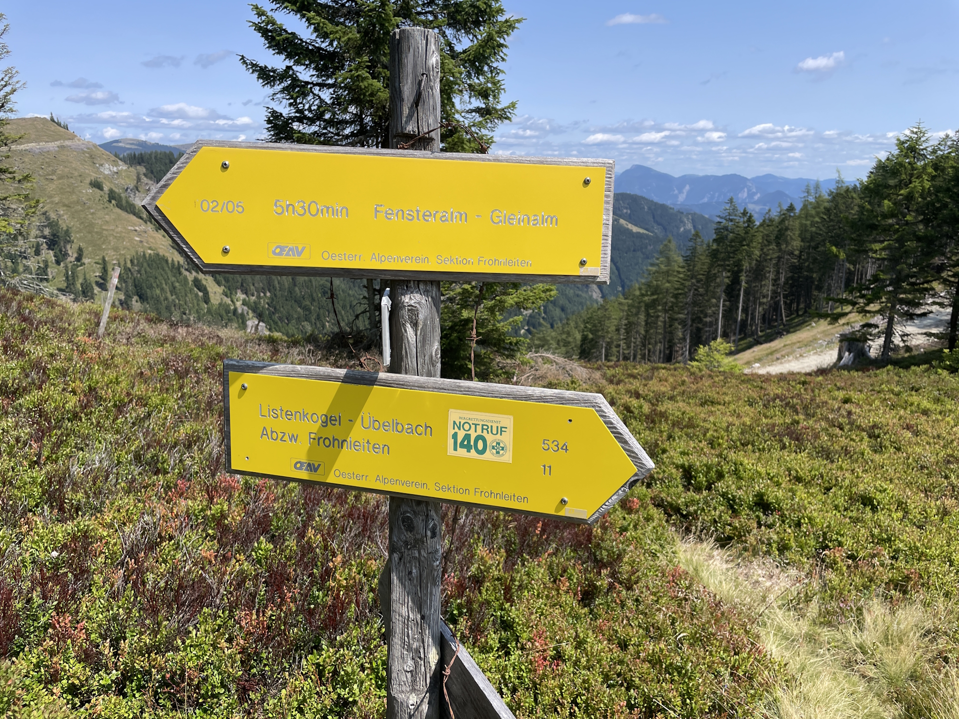 Leaving the official trail and head down towards <i>Plotscherbauer</i> (follow trail <i>534</i> to <i>Übelbach</i>)