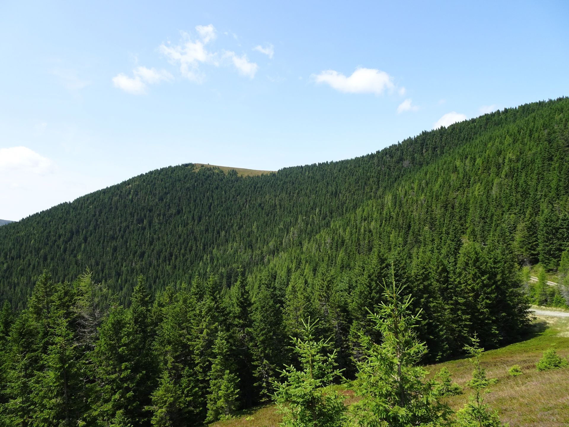 The <i>Fensteralm</i> seen from the trail