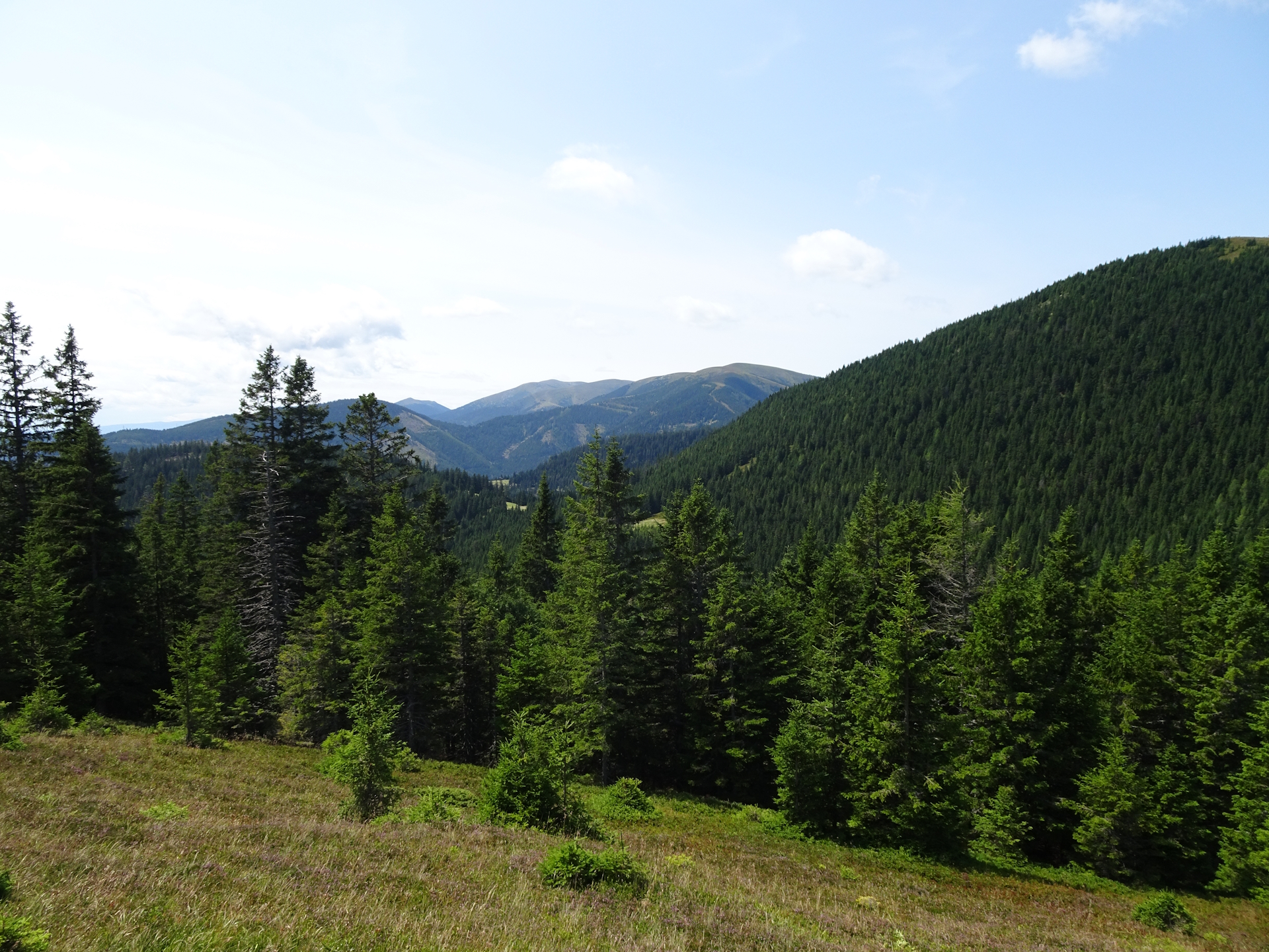 View towards <i>Lärchkogel</i> and <i>Speikkogel</i> from the trail to <i>Plotscherbauer</i>