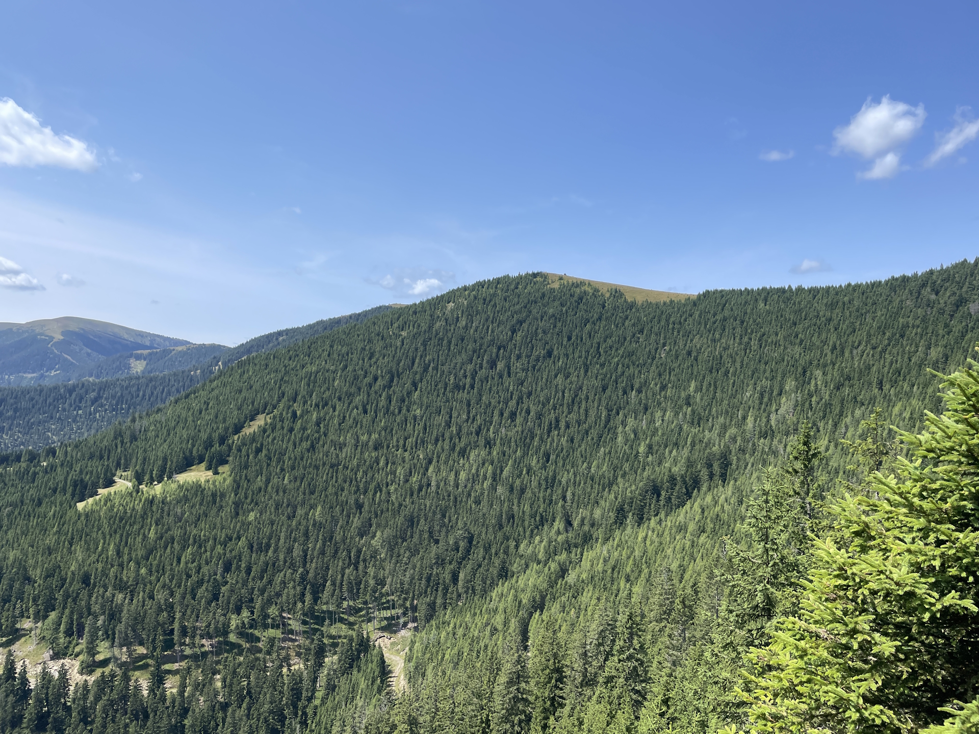 The <i>Fensteralm</i> seen from the rest area