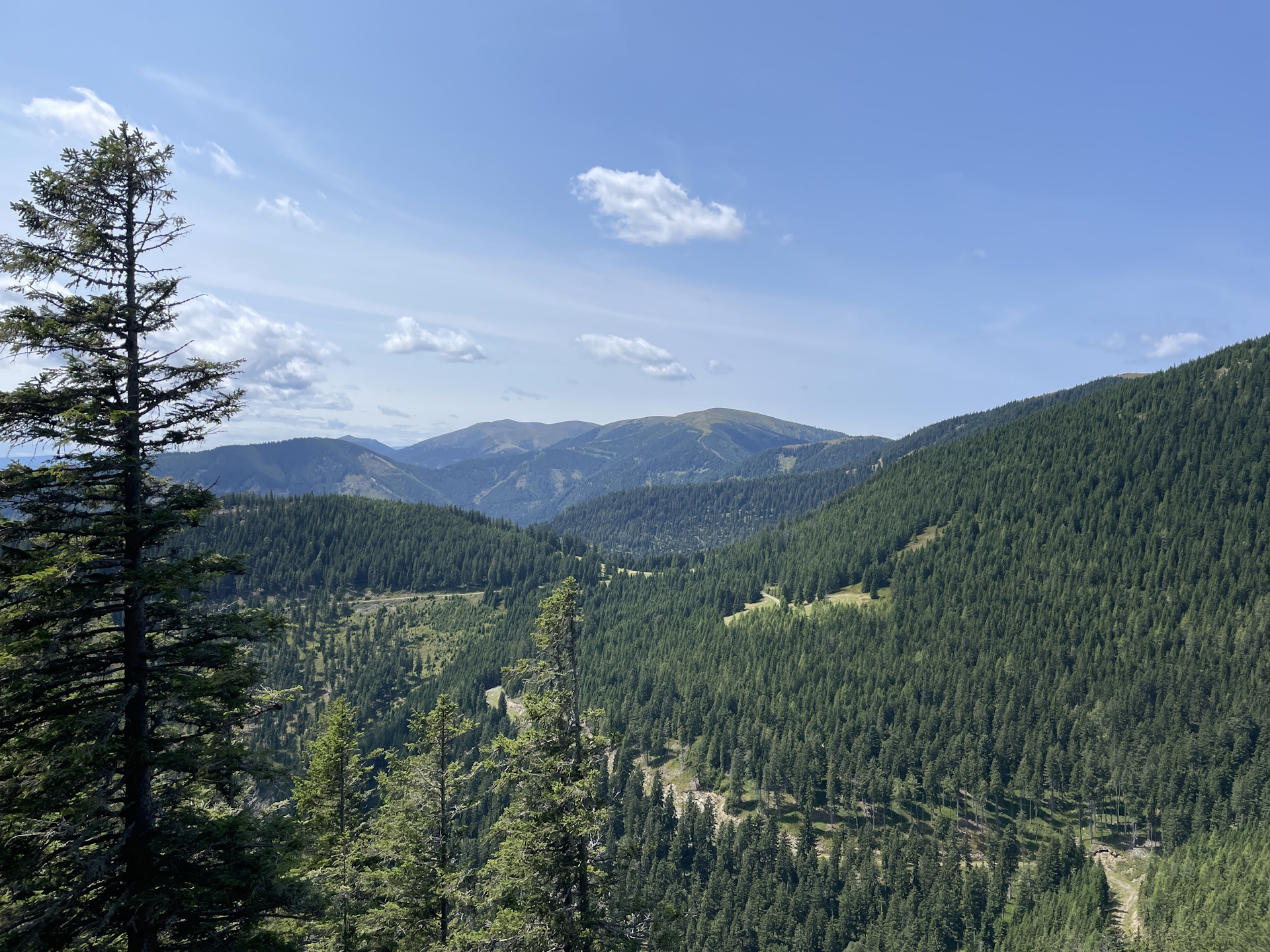 View towards <i>Lärchkogel</i> and <i>Speikkogel</i> from the rest area