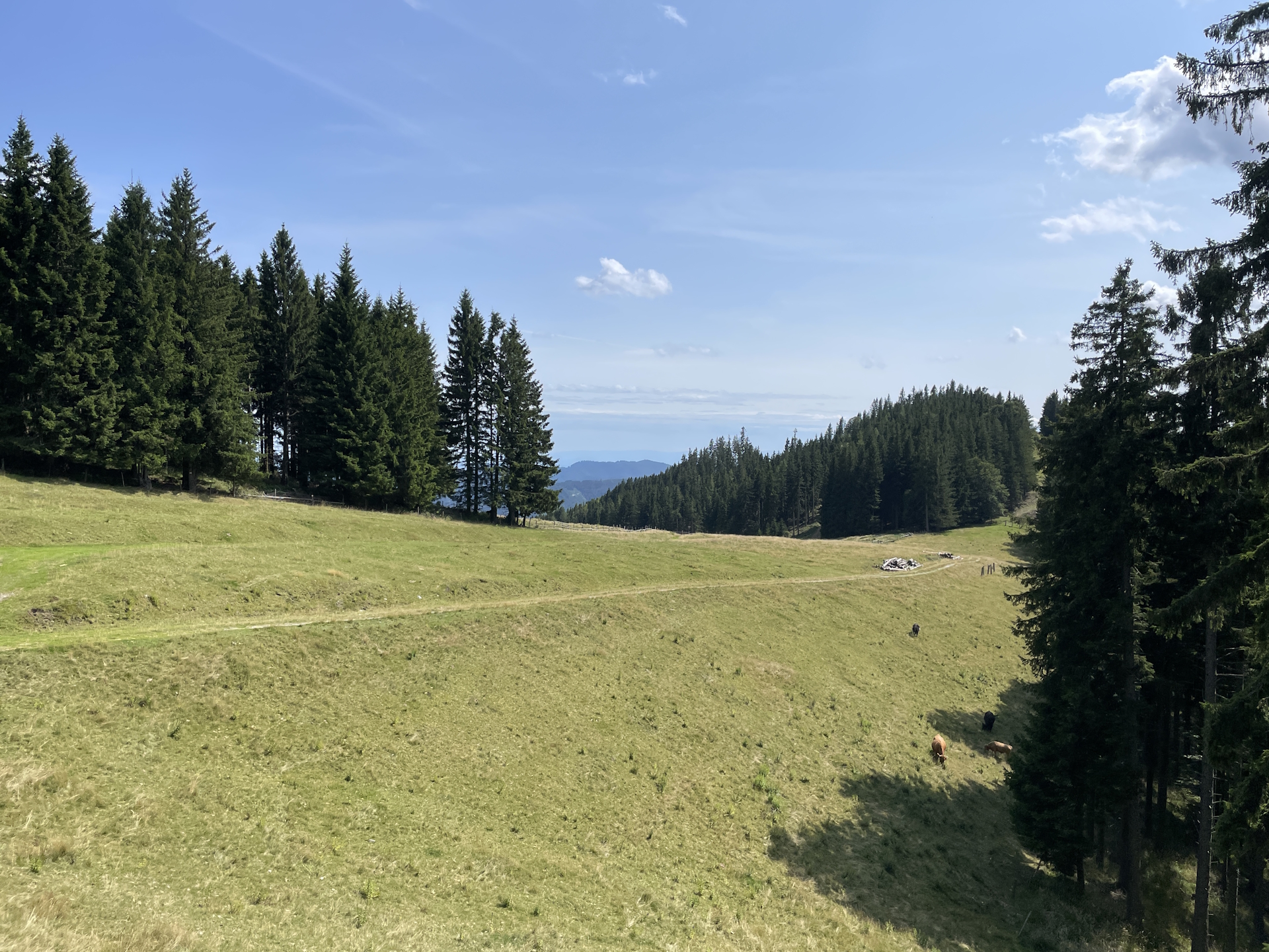 Following the trail down to <i>Plotscherbauer</i>