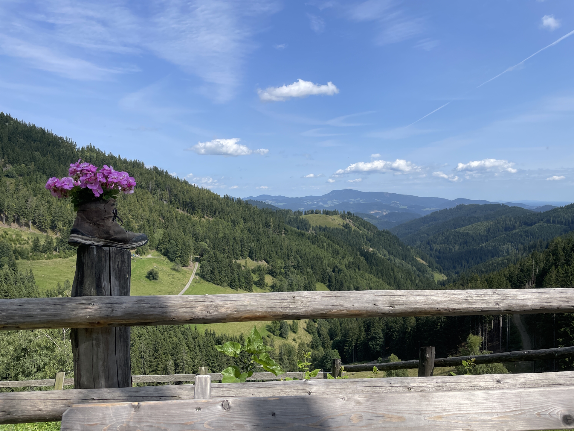 Enjoying the view towards <i>Schöckl</i> from <i>Plotscherbauer</i>