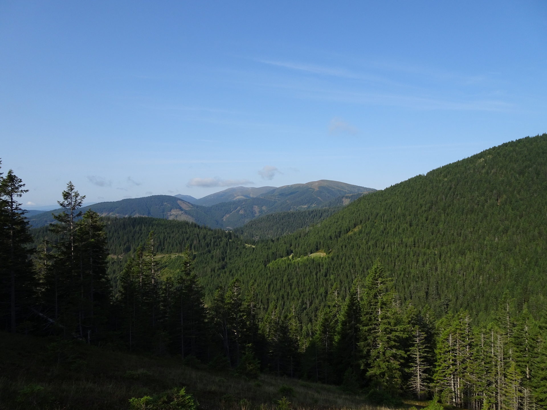 View towards <i>Speikkogel</i> from the view point