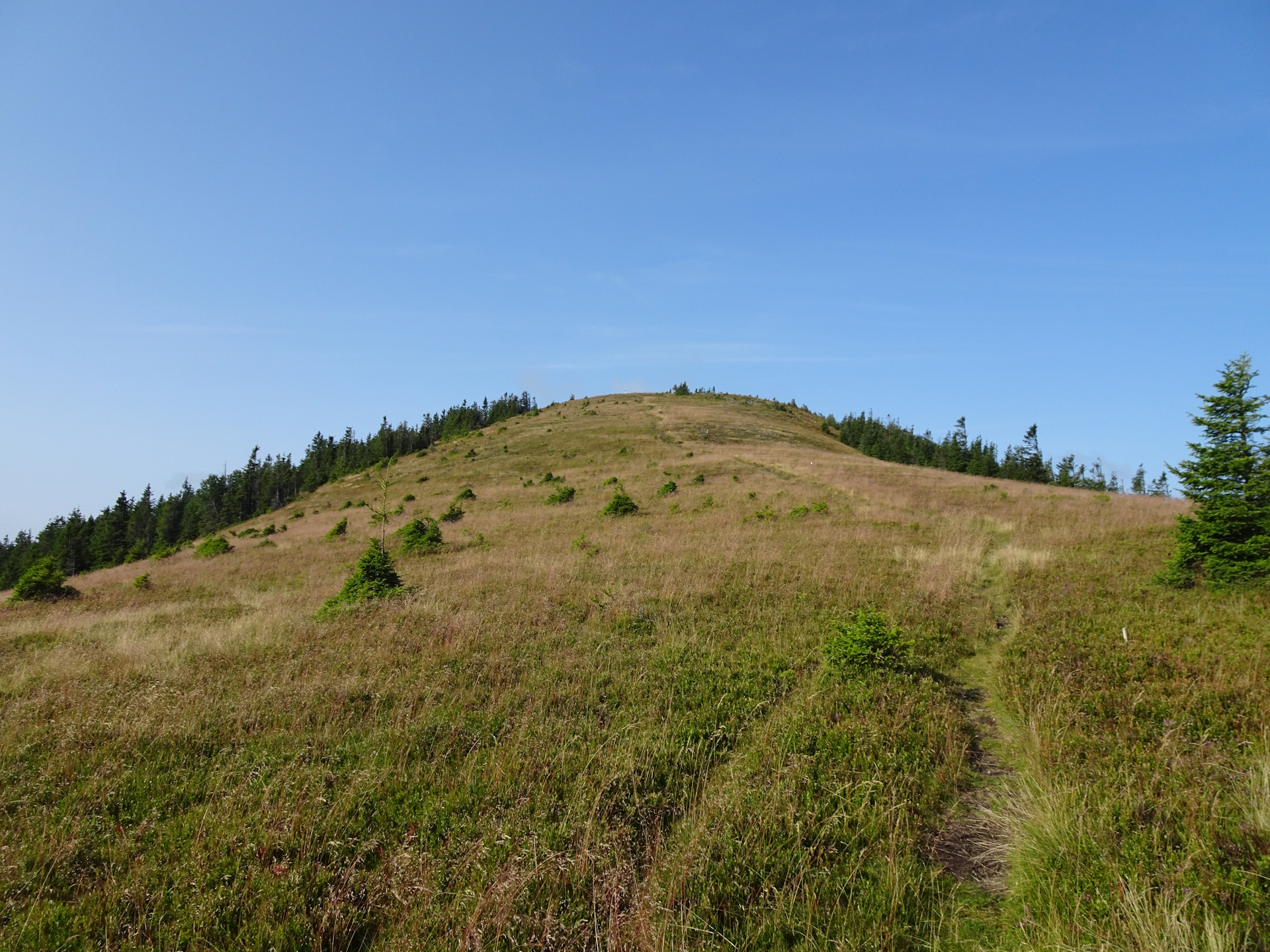 On the trail towards <i>Fensteralm</i>