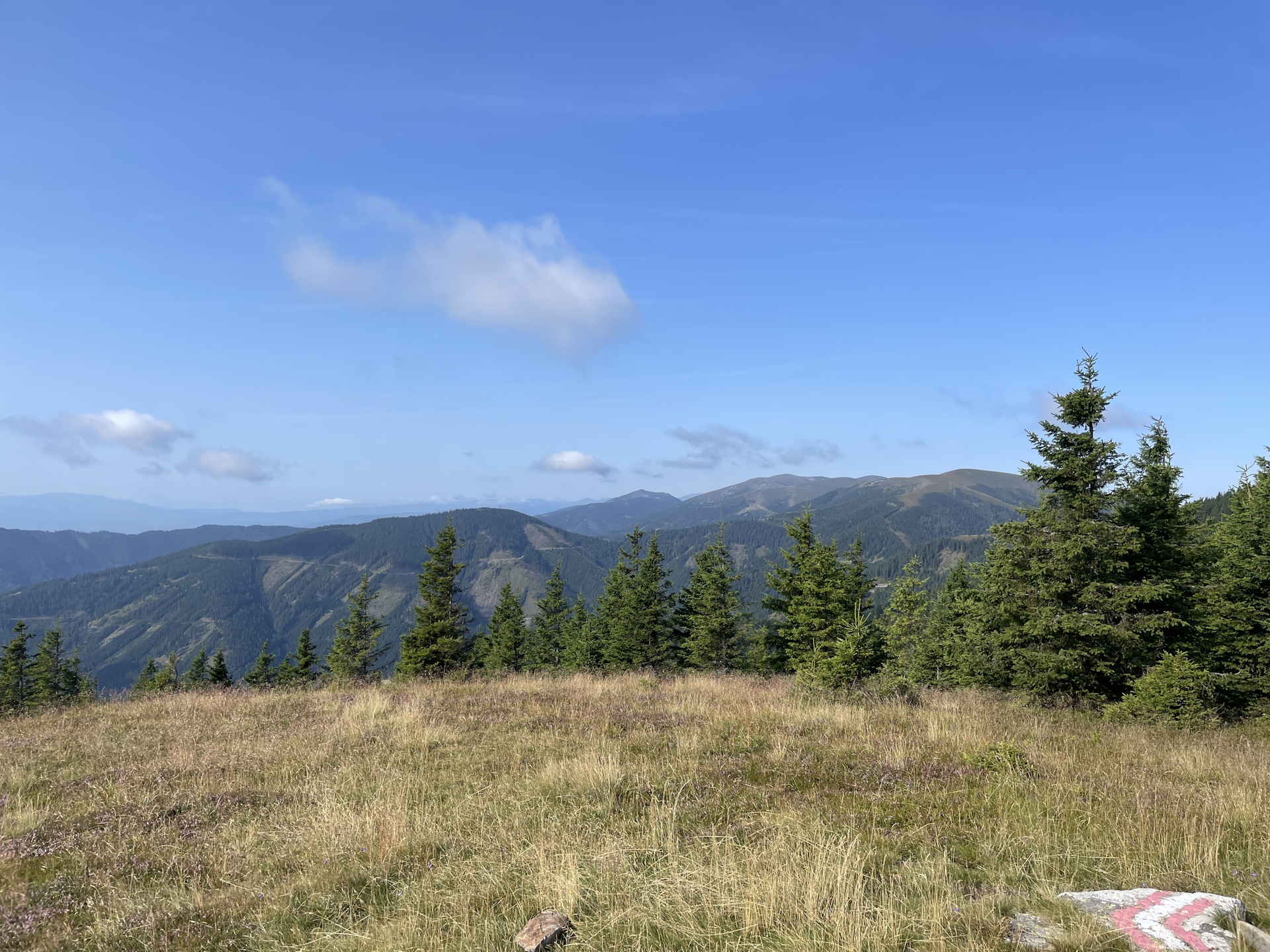View from <i>Fensteralm</i>