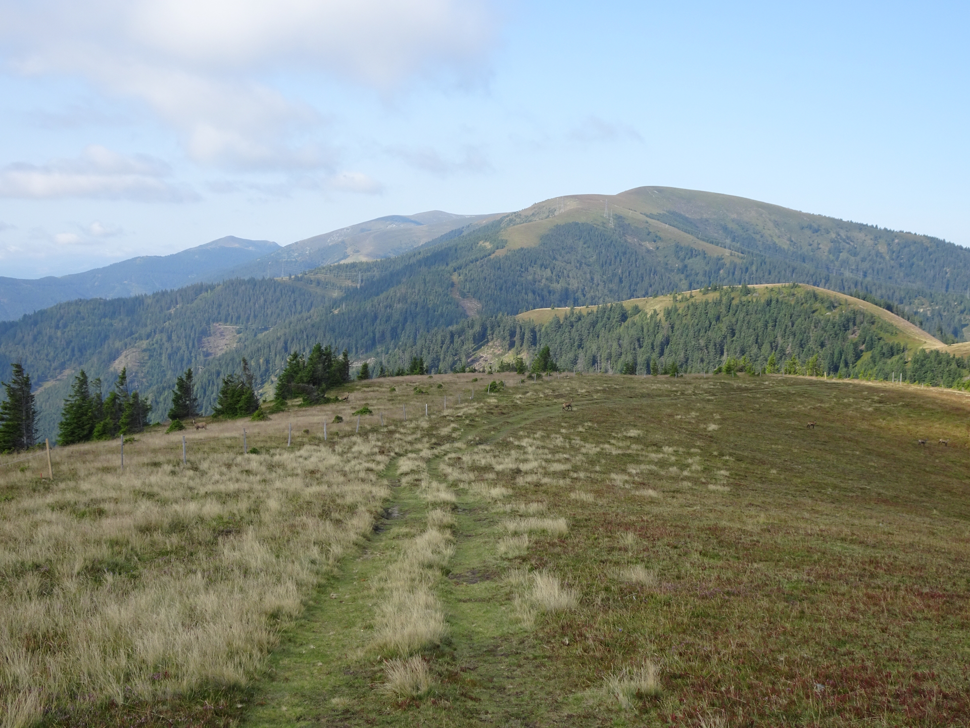 Hiking down into the <i>Polstersattel</i>