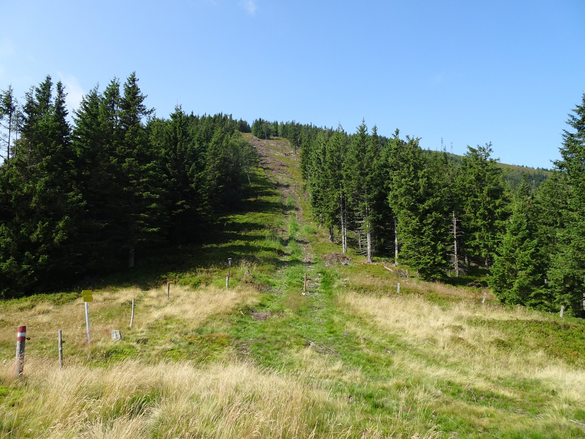 The steep ascent up to <i>Eiblkogel</i> from <i>Polstersattel</i>