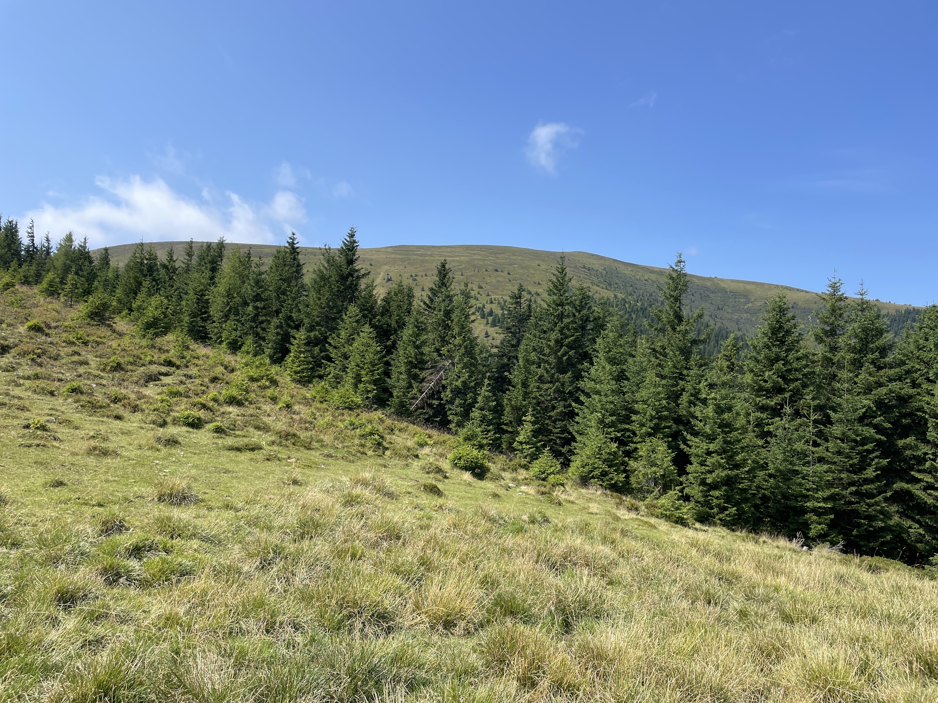 Ascending up to <i>Lärchkogel</i>