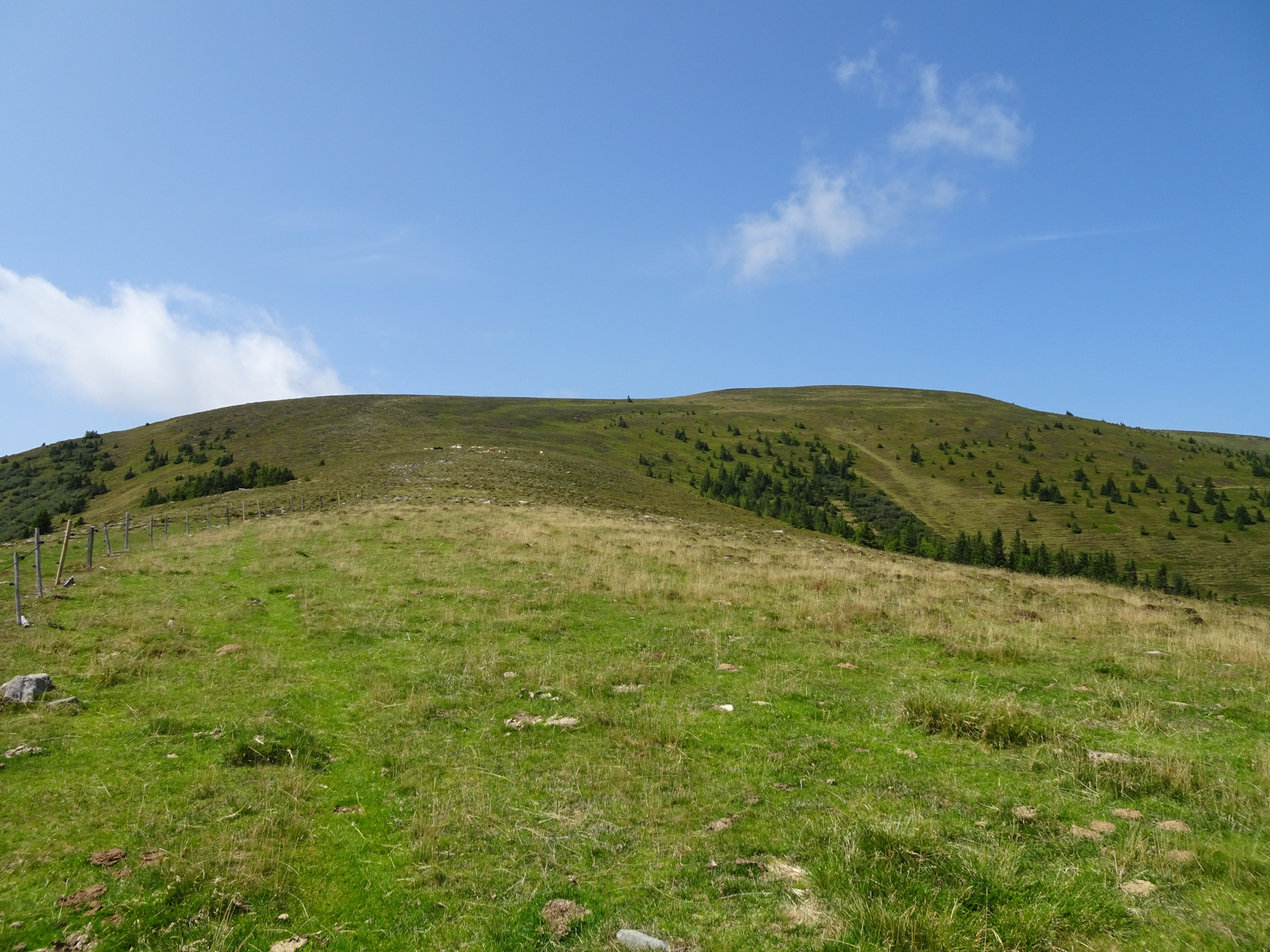 Hiking up to <i>Lärchkogel</i>