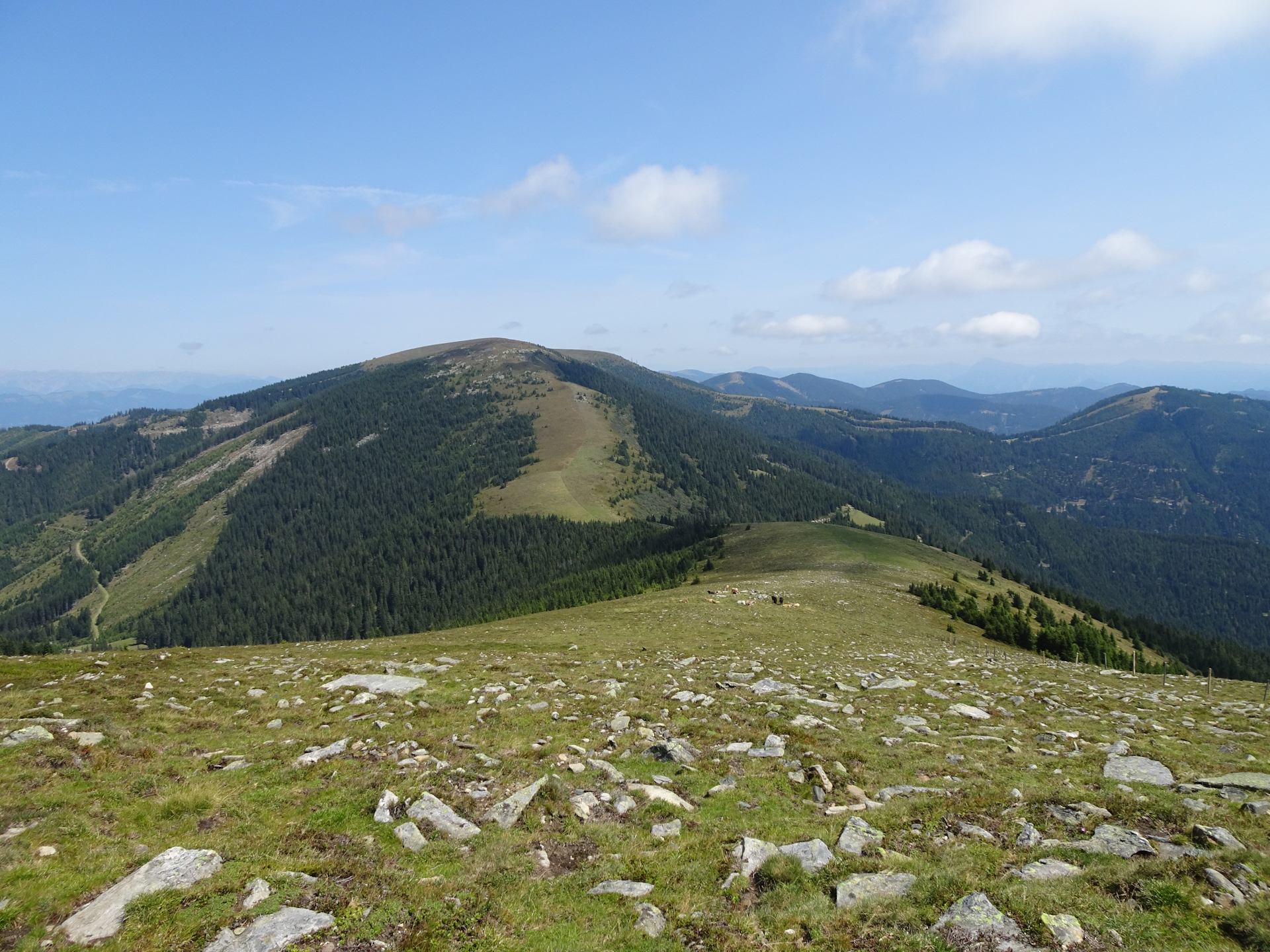 View back from the tail up to <i>Lärchkogel</i>
