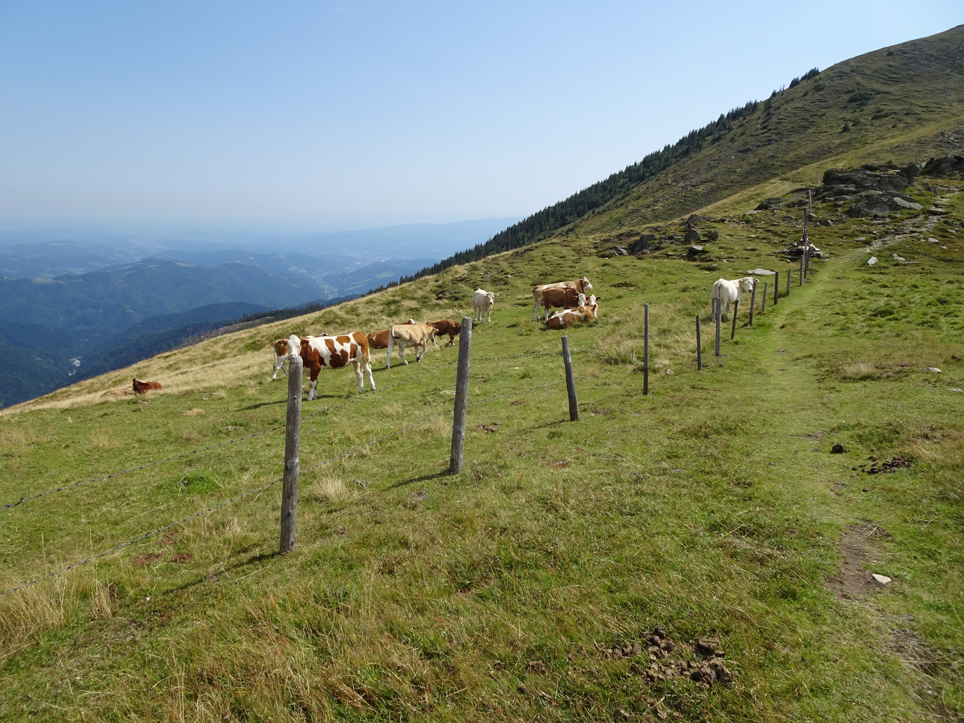 On the trail towards <i>Roßbachkogel</i>