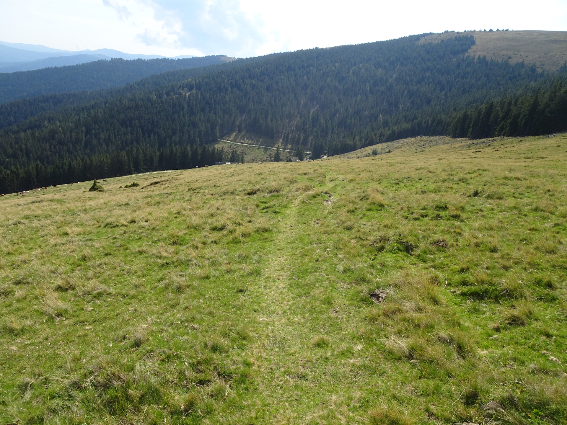 On the trail towards <i>Terenbachalm</i>