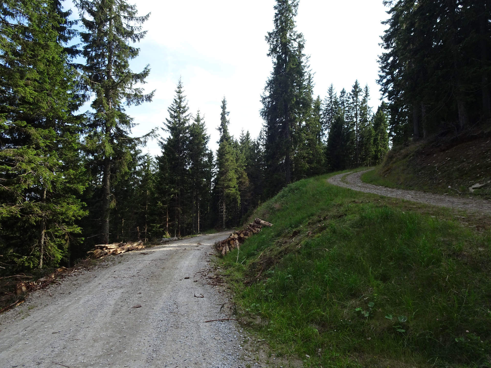 Follow this gravel road towards <i>Oskar Schauer Sattelhaus</i>