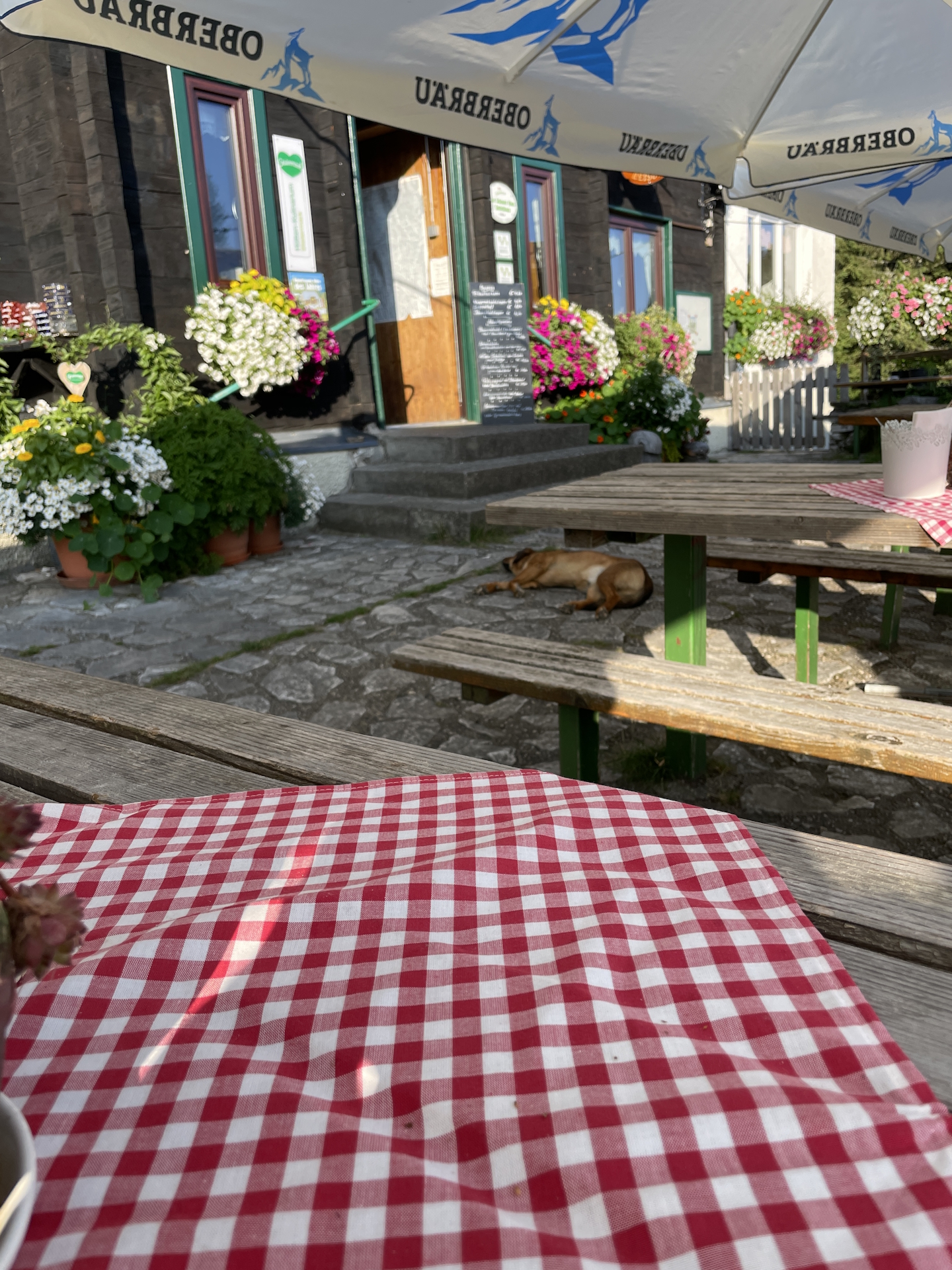 Finally arrived at the amazing <i>Oskar Schauer Sattelhaus</i>