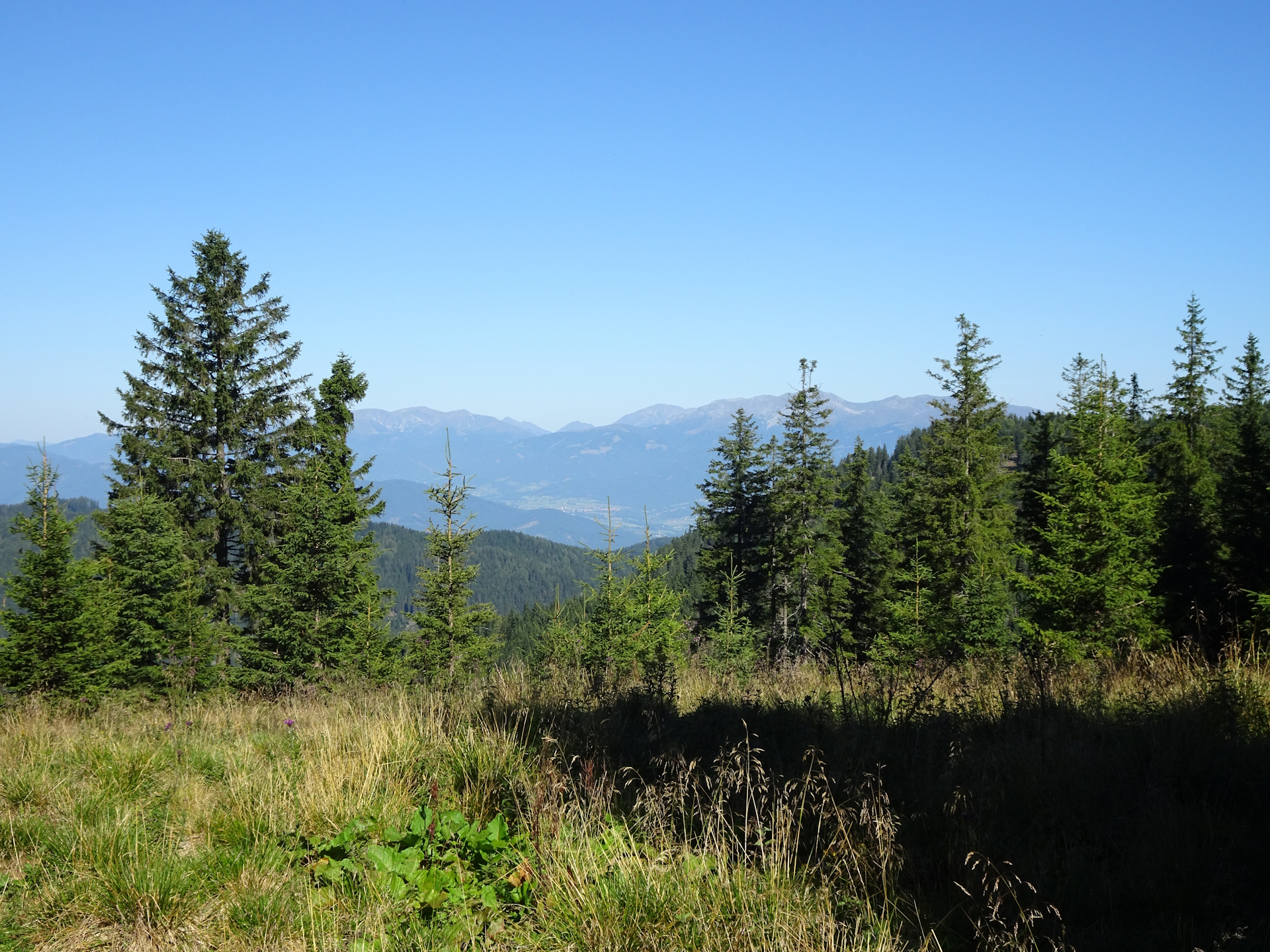 View from the trail towards <i>Gaberl</i>
