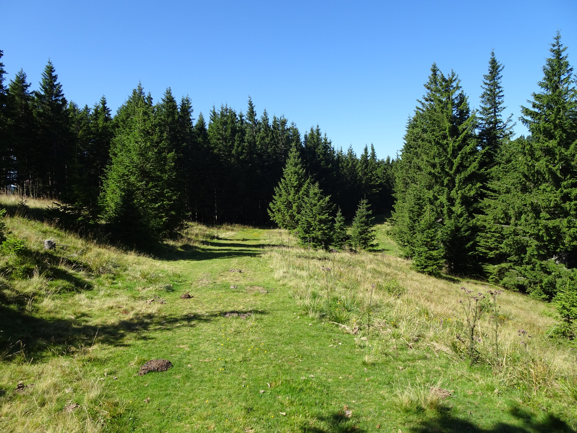 On the easy trail towards <i>Gaberl</i>