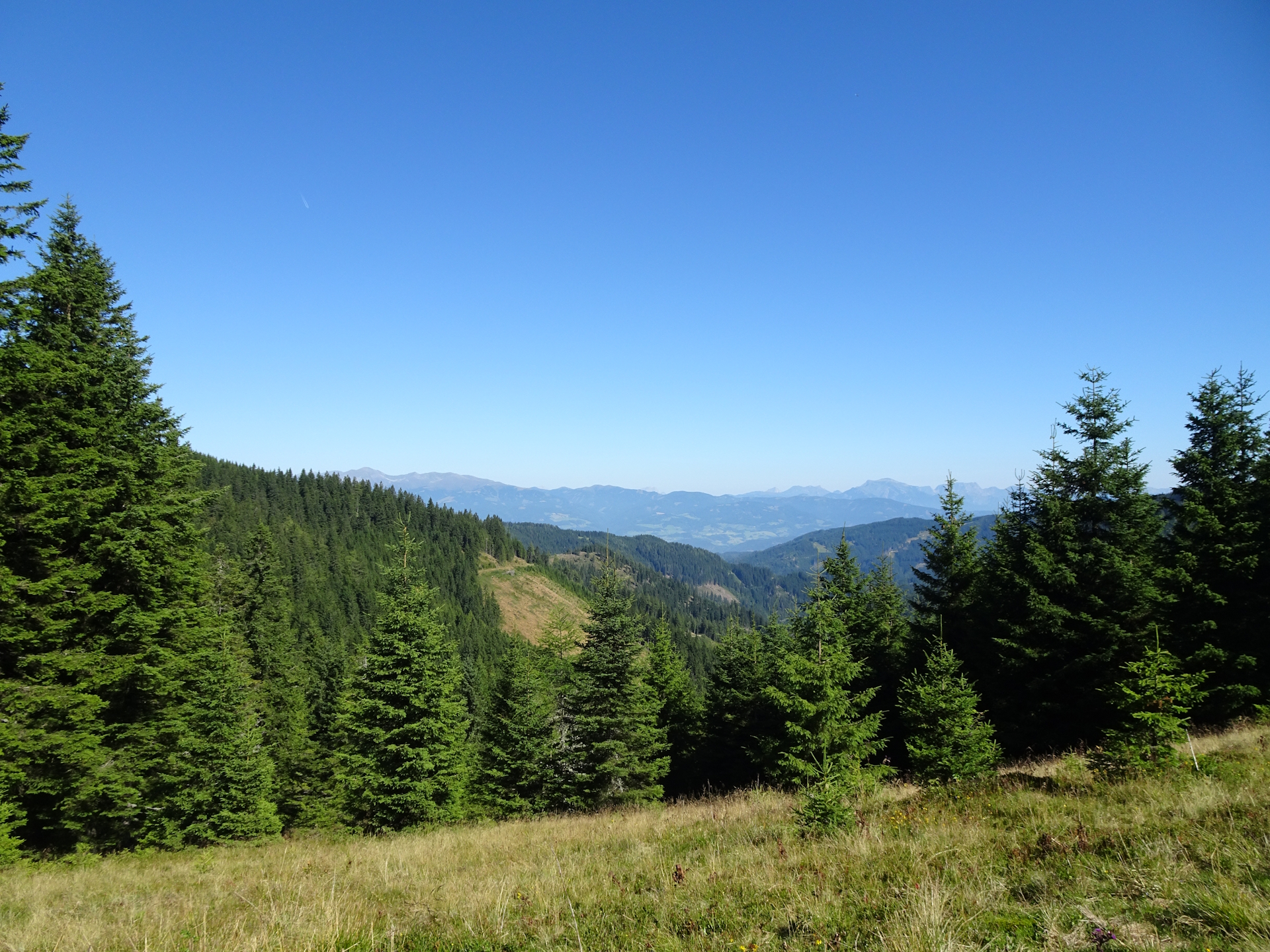 View from the trail towards <i>Gaberl</i>