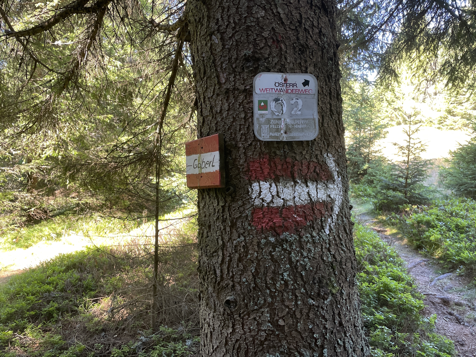 Leaving the shared trail between <i>02 Zentralalpenweg</i> and <i>05 Nord-Süd-Weitwanderweg</i>. Keep left here!