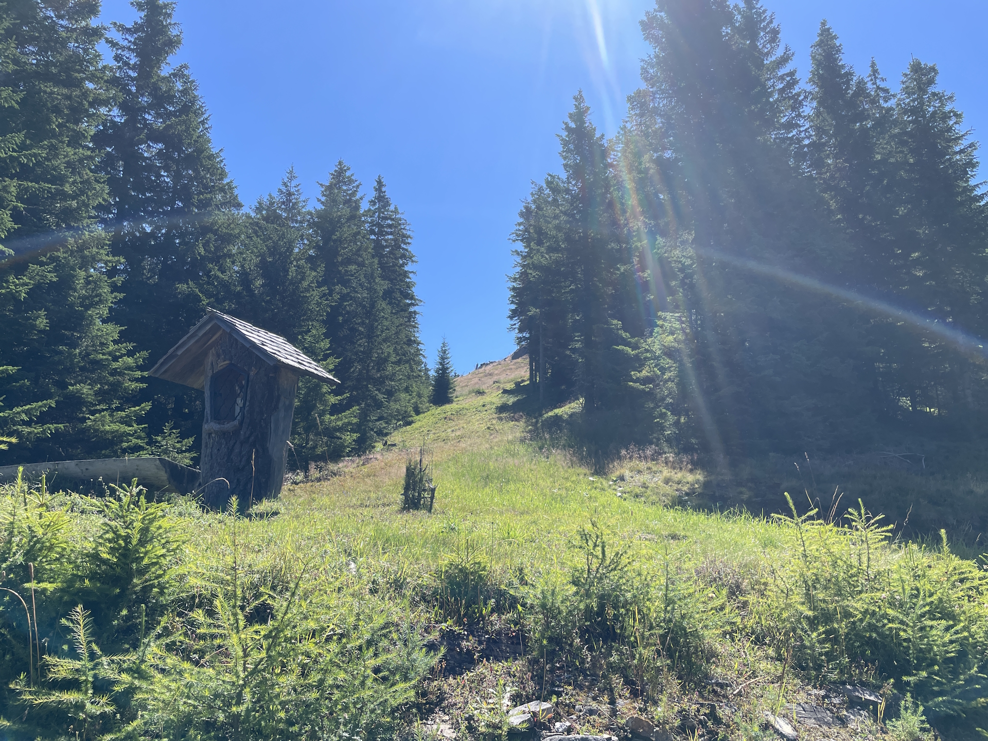 View up to <i>Scherzberg</i>