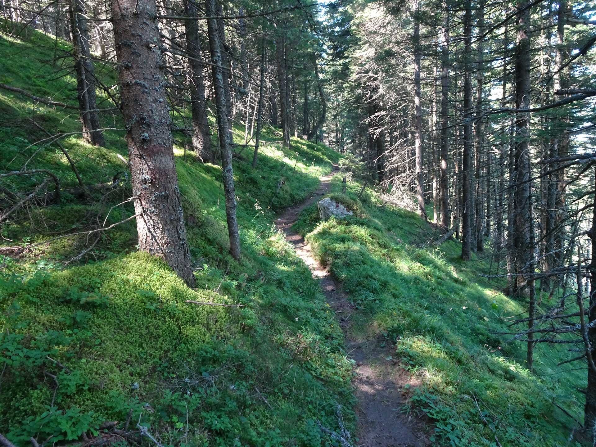 On the trail towards <i>Gaberl</i>