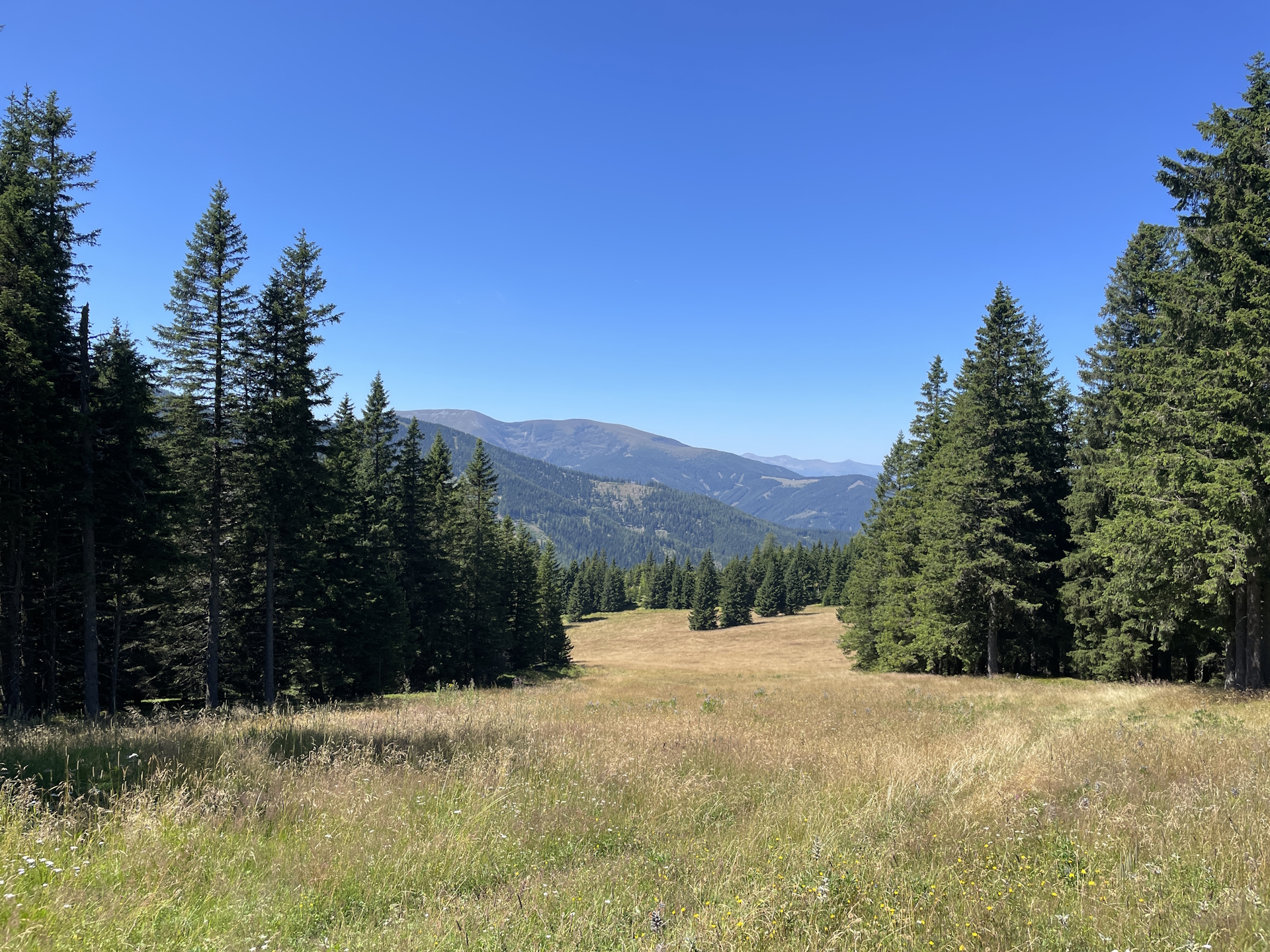 View from <i>Plankogel</i> (detour)