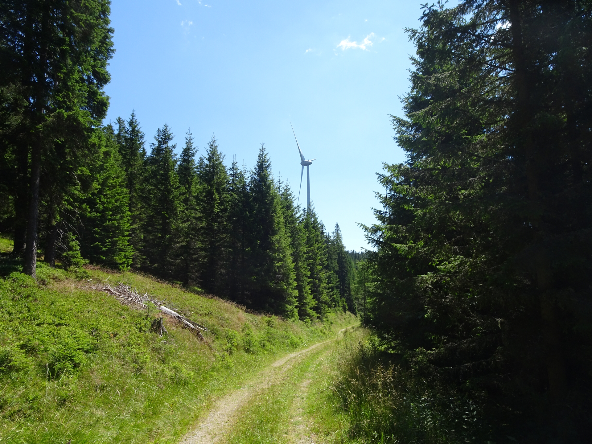 On the trail towards <i>Altes Almhaus</i>