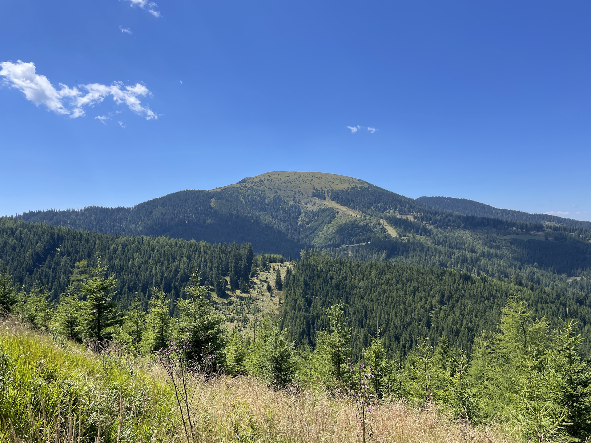 The <i>Rappoldkogel</i> seen from the trail towards <i>Altes Almhaus</i>