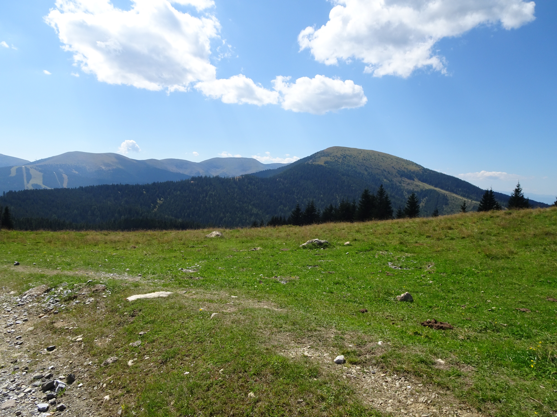 On the trail around <i>Wölkerkogel</i>