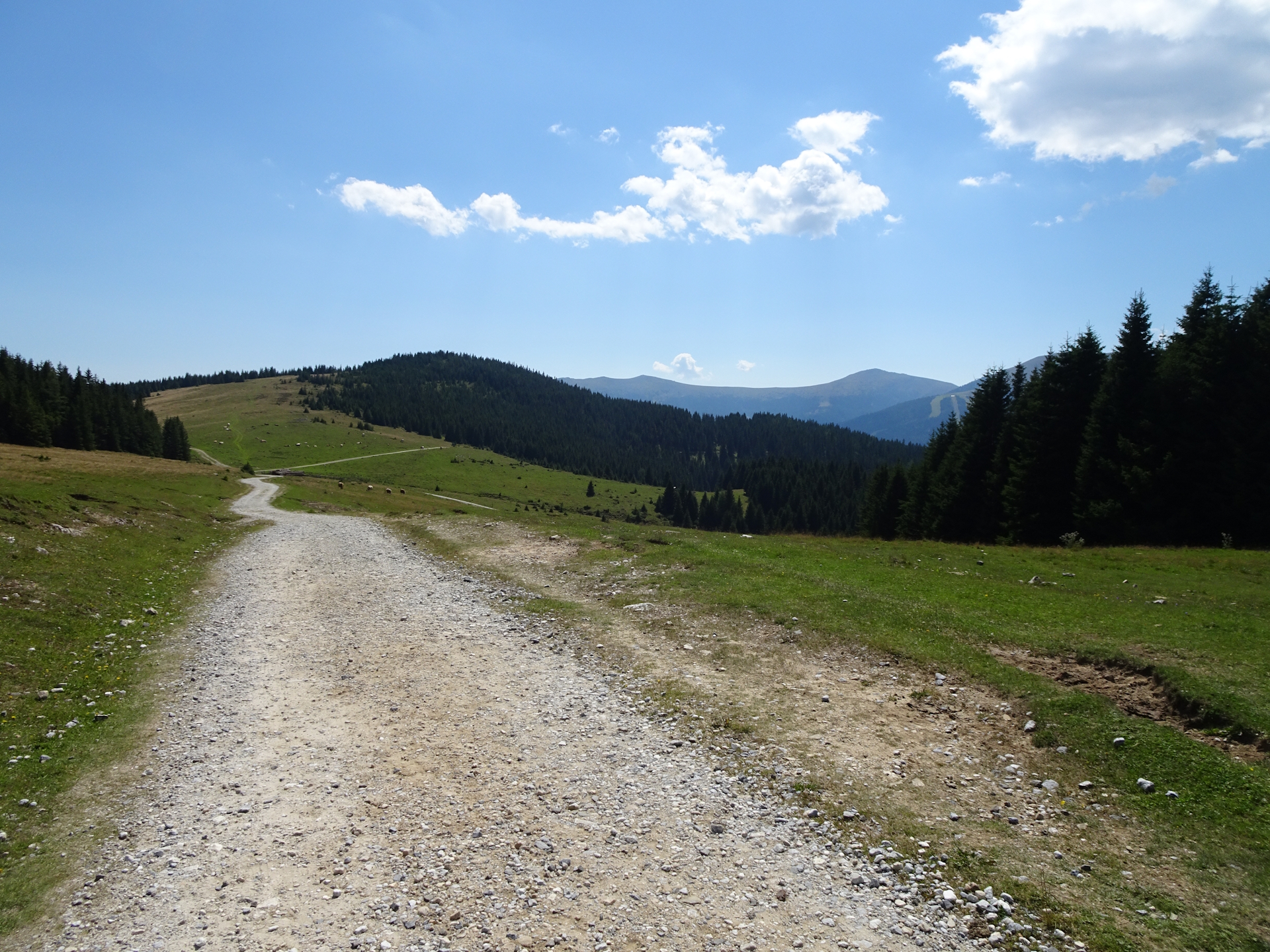 On the trail towards <i>Rappoldkogel</i>