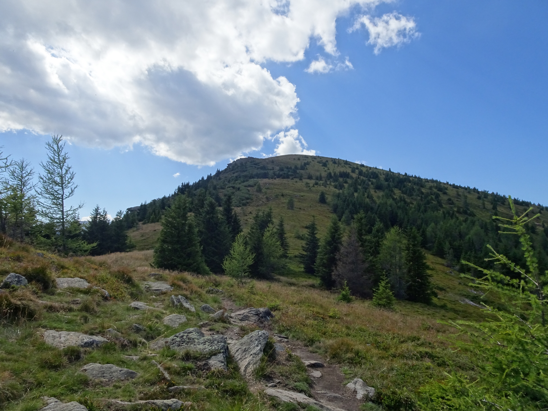 Ascending up towards <i>Rappoldkogel</i>