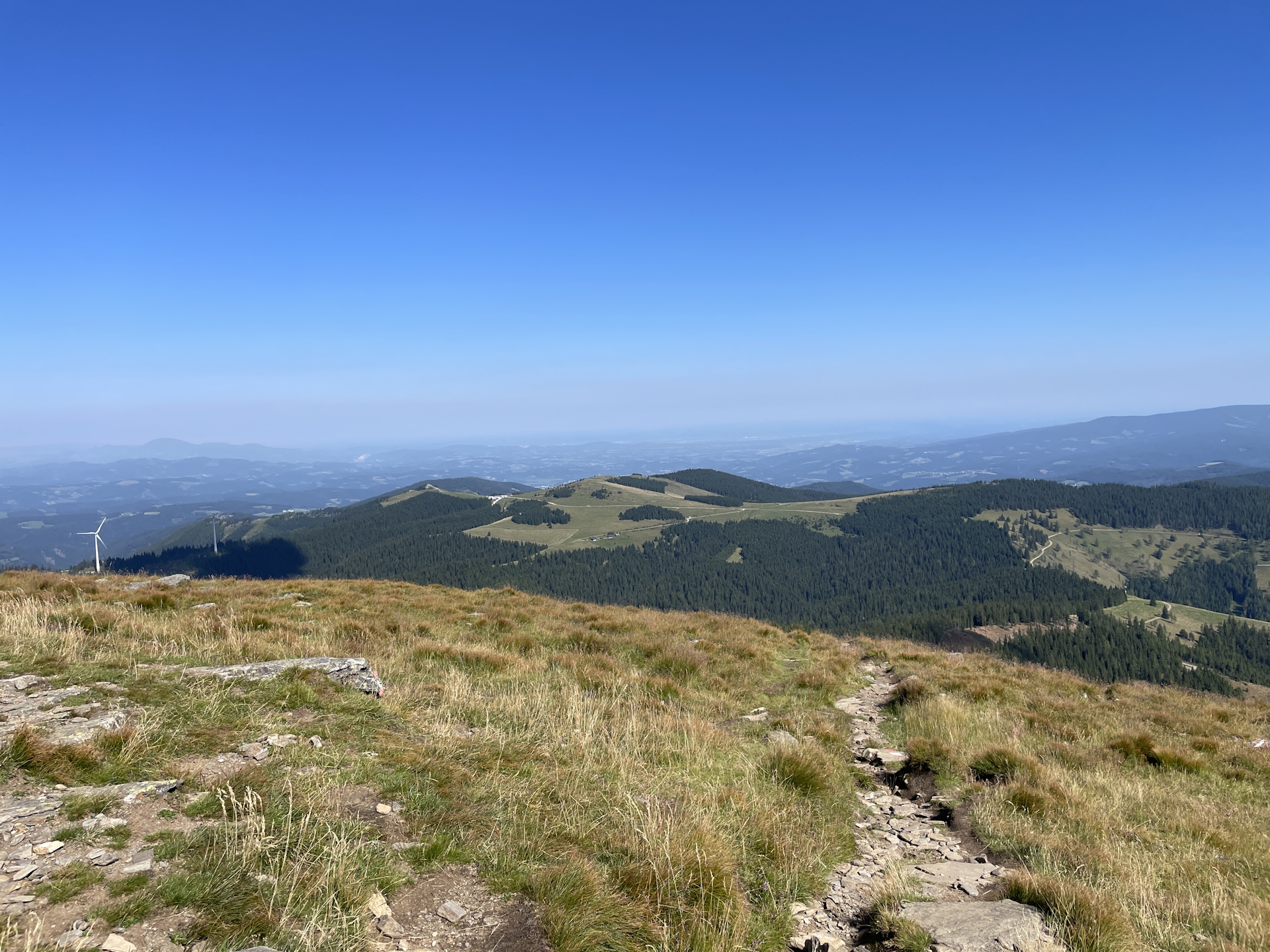 View back to <i>Altes Almhaus</i> from <i>Rappoldkogel</i>