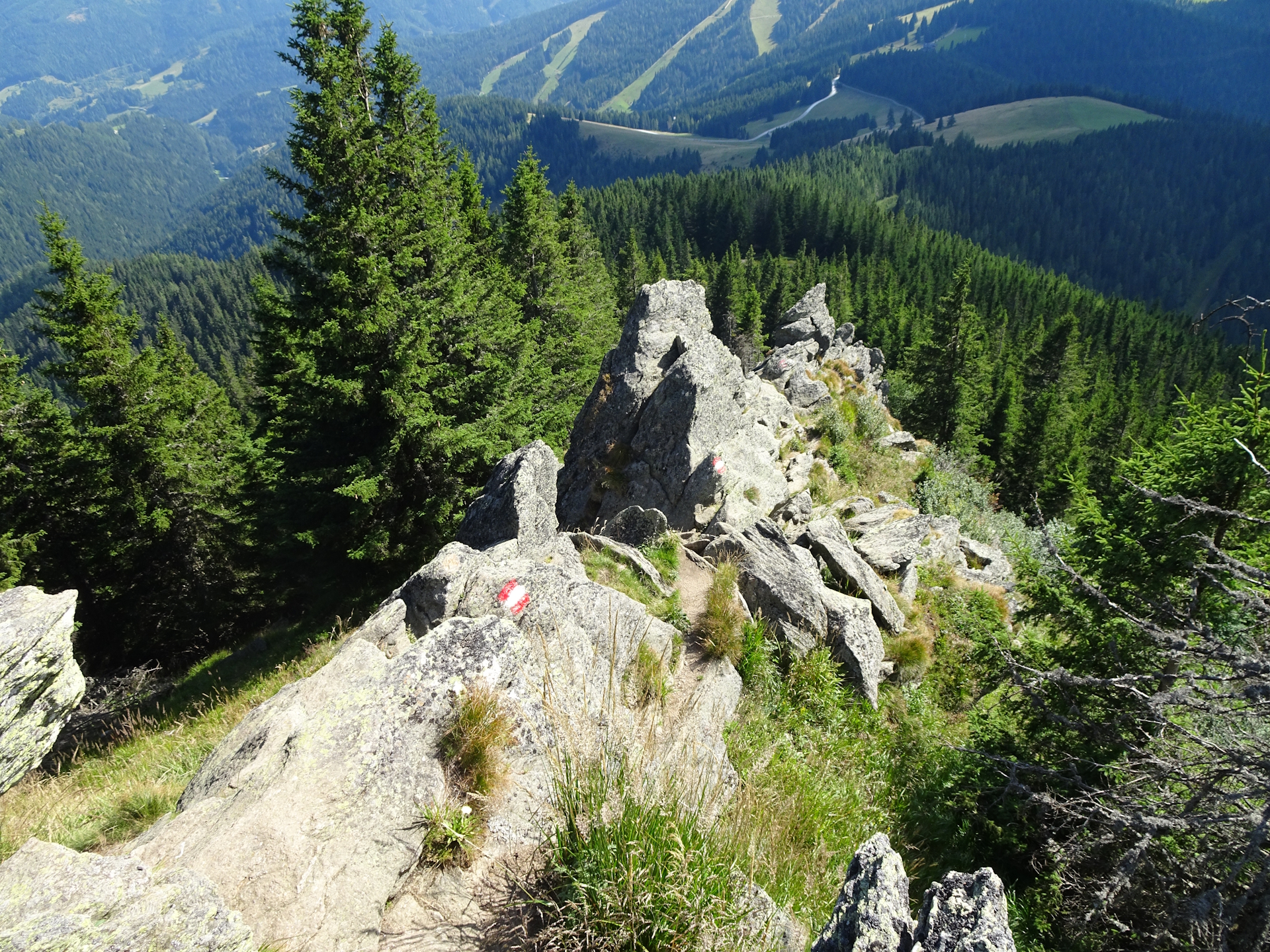 The alpine variant (Felsenweg)