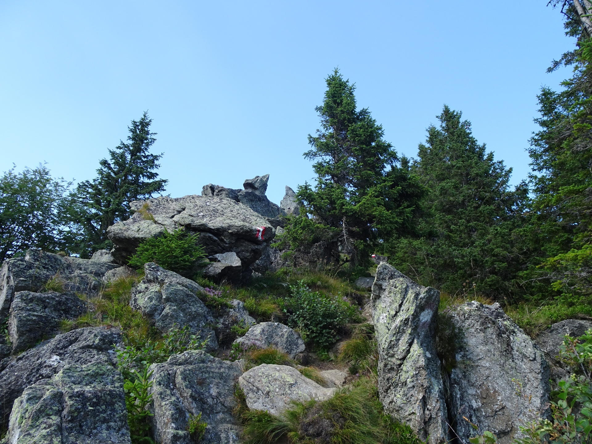 View back after climbing down the alpine variant