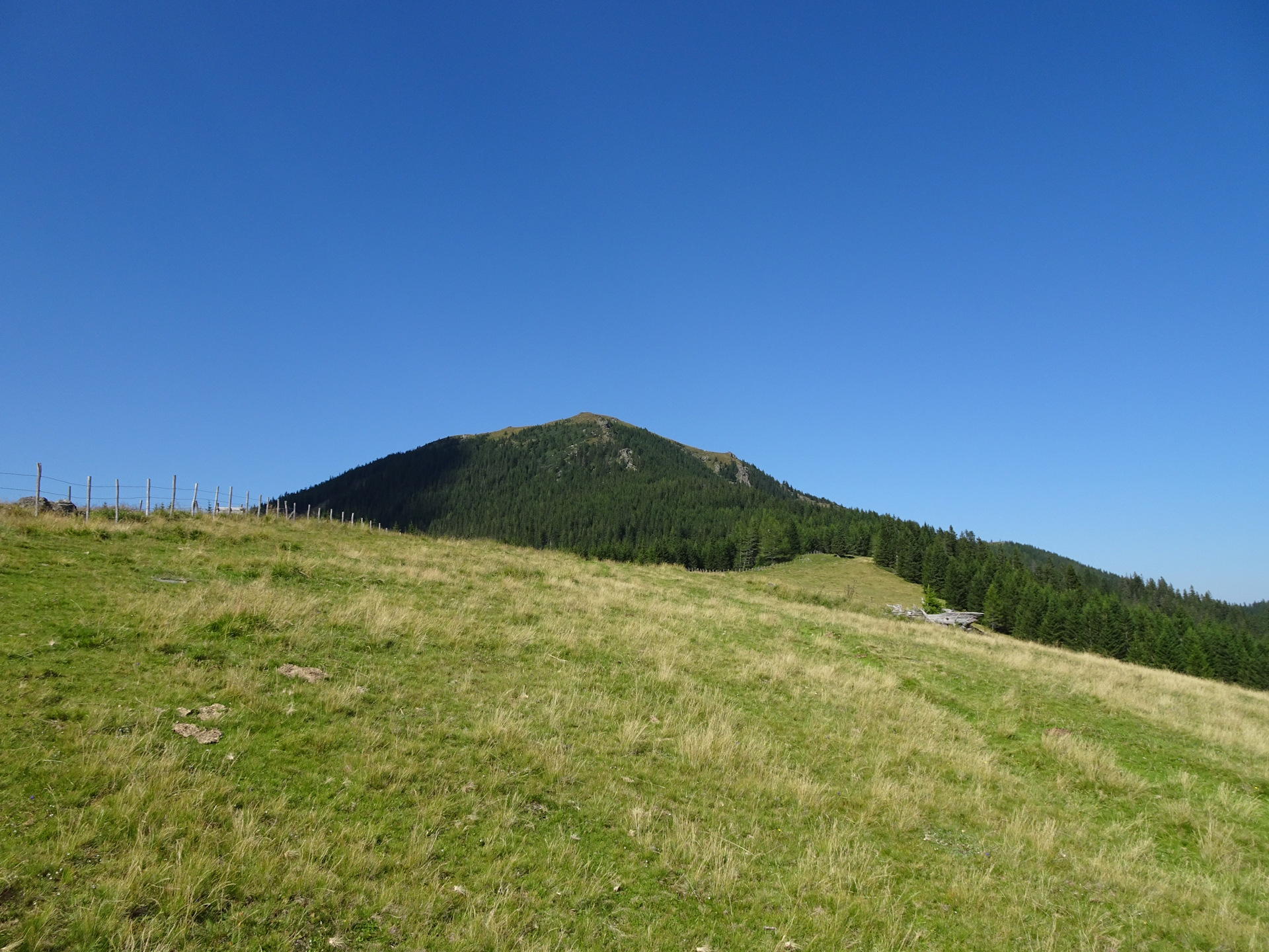 View back up to <i>Rappoldkogel</i>