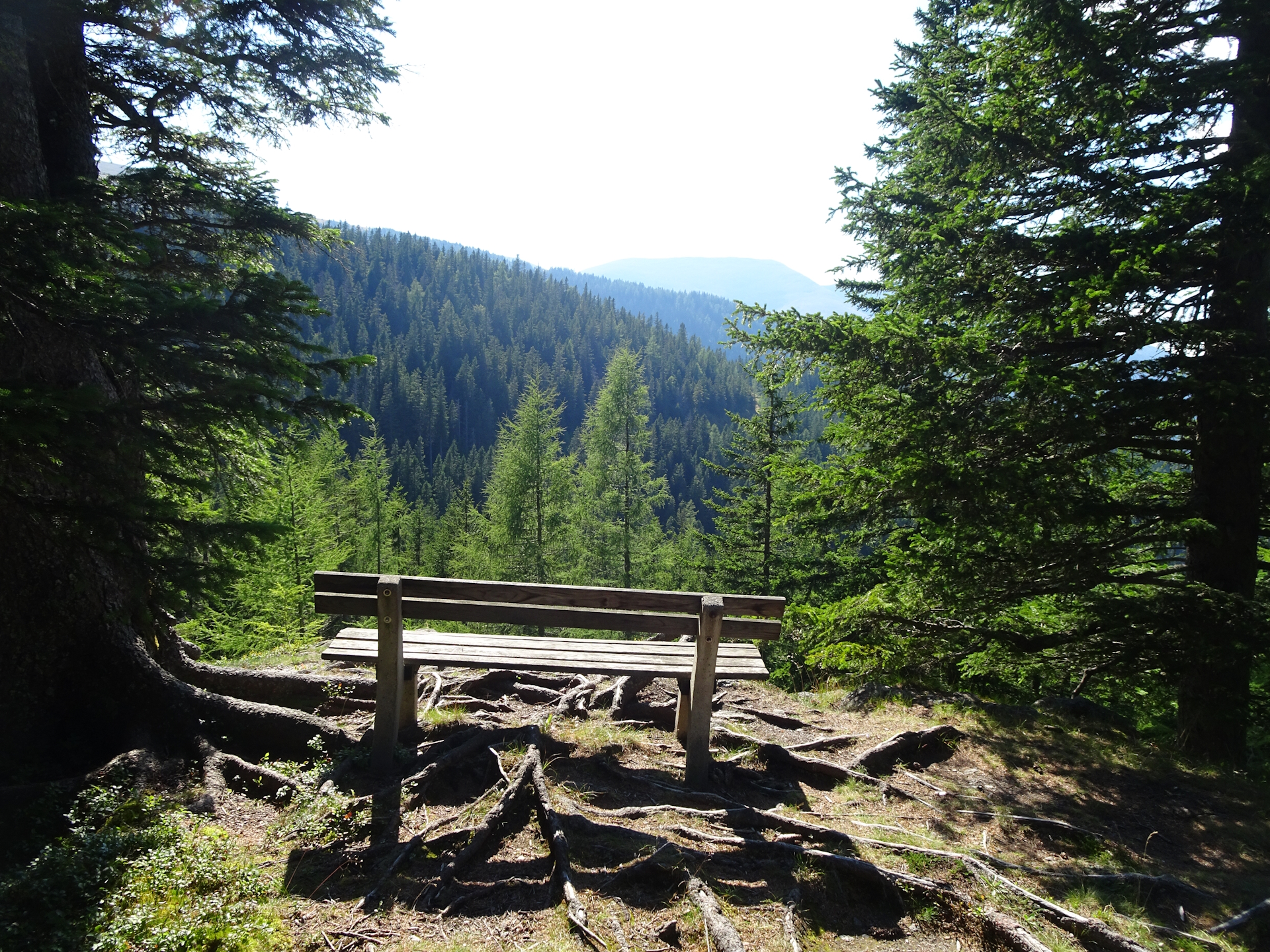 The rest area shortly before <i>Salzstiegelhaus</i>