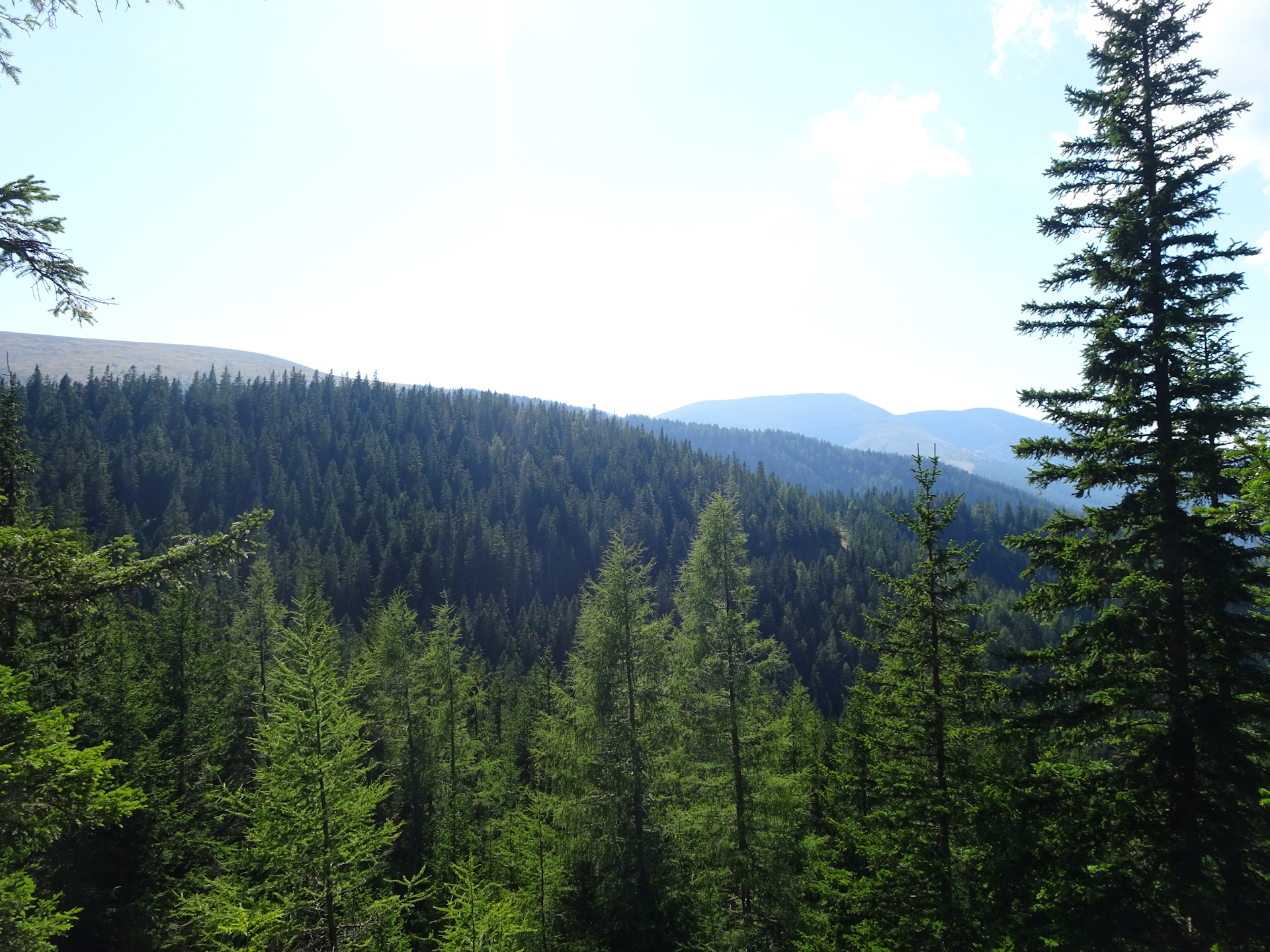 View form the rest area before <i>Salzstiegelhaus</i>