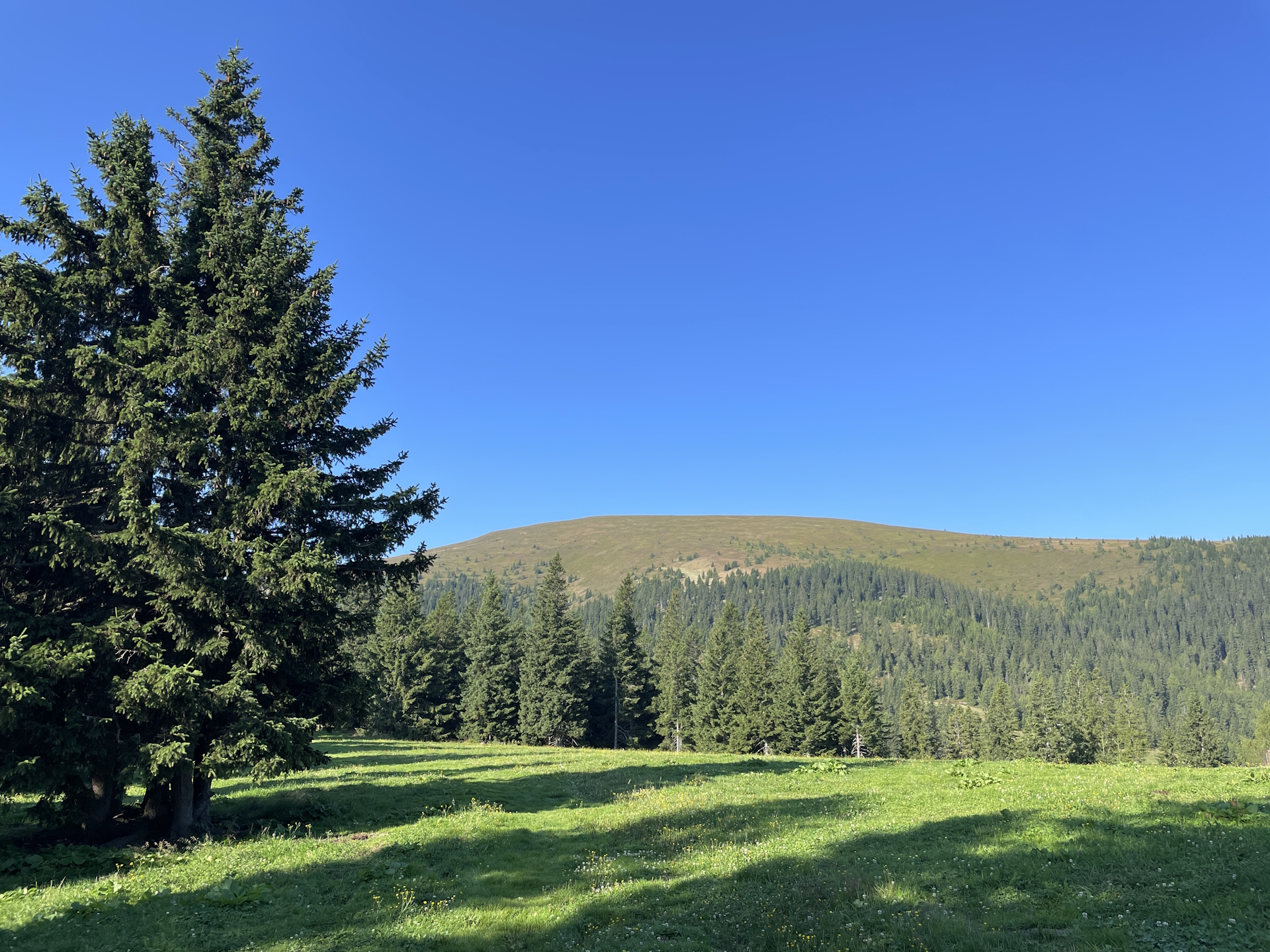 View towards <i>Speikkogel</i> from the trail