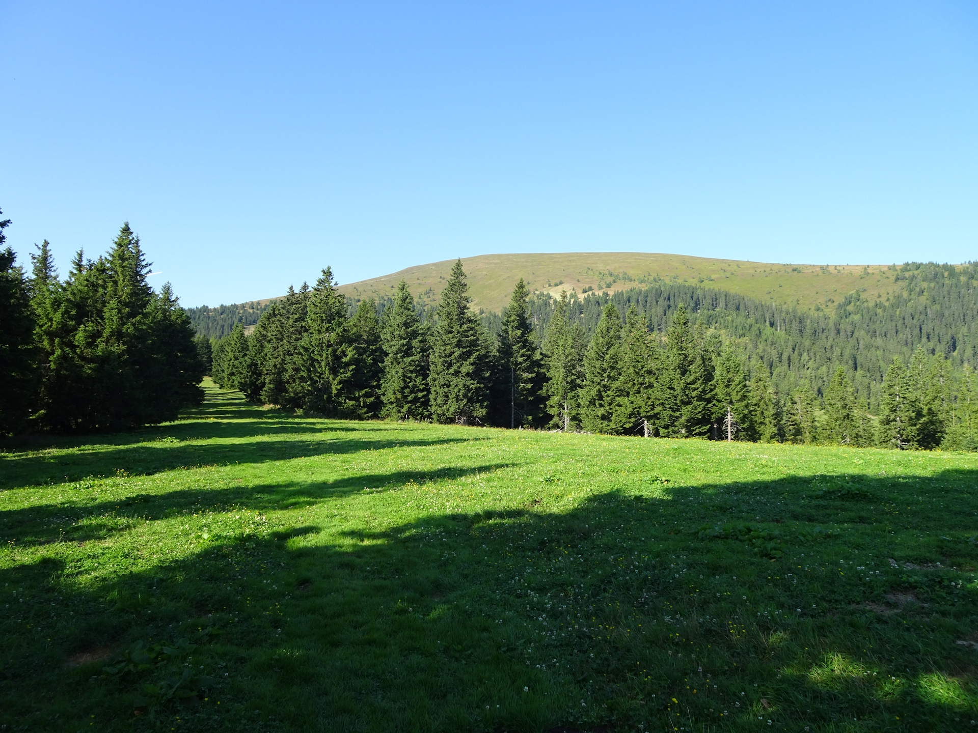 The <i>Speikkogel</i> seen from the trail