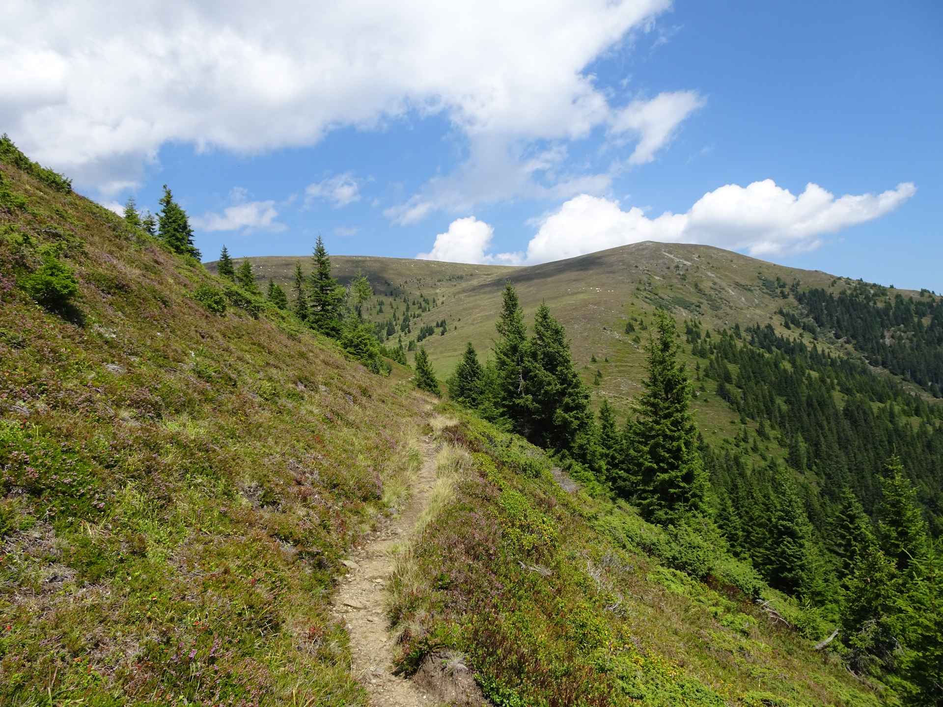 View back to <i>Speikkogel</i> from the trail after <i>Peternsattel</i>