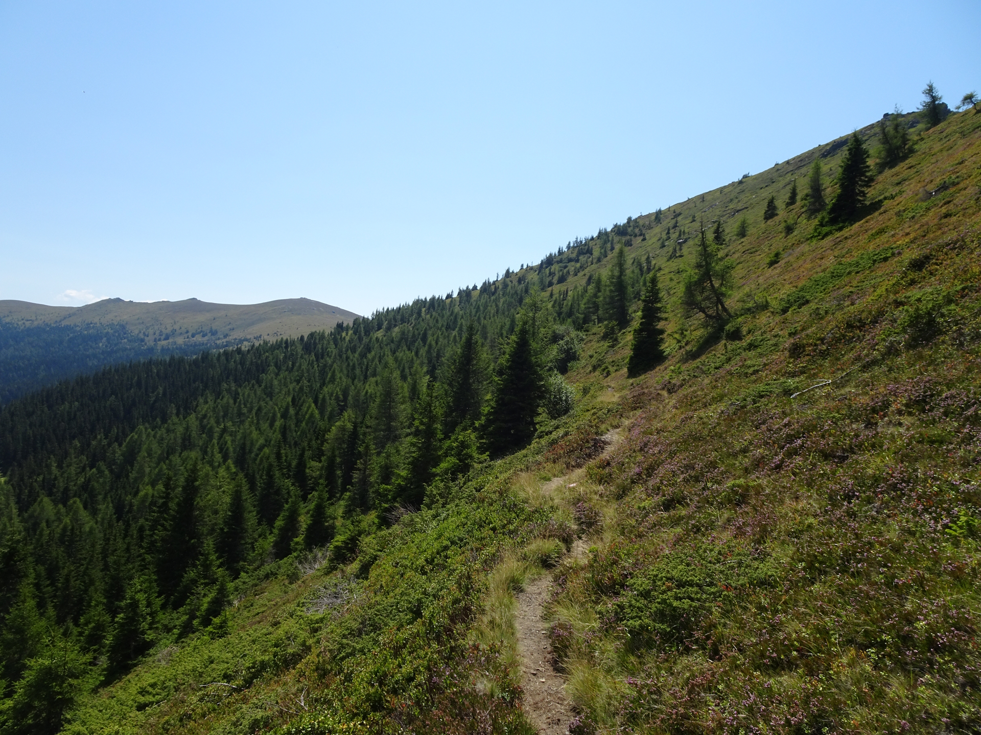 On the trail right after <i>Peternsattel</i>