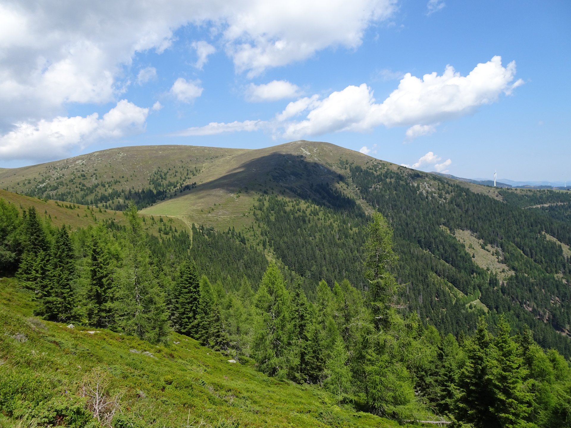 View back from the trail towards <i>Bernsteinhütte</i>