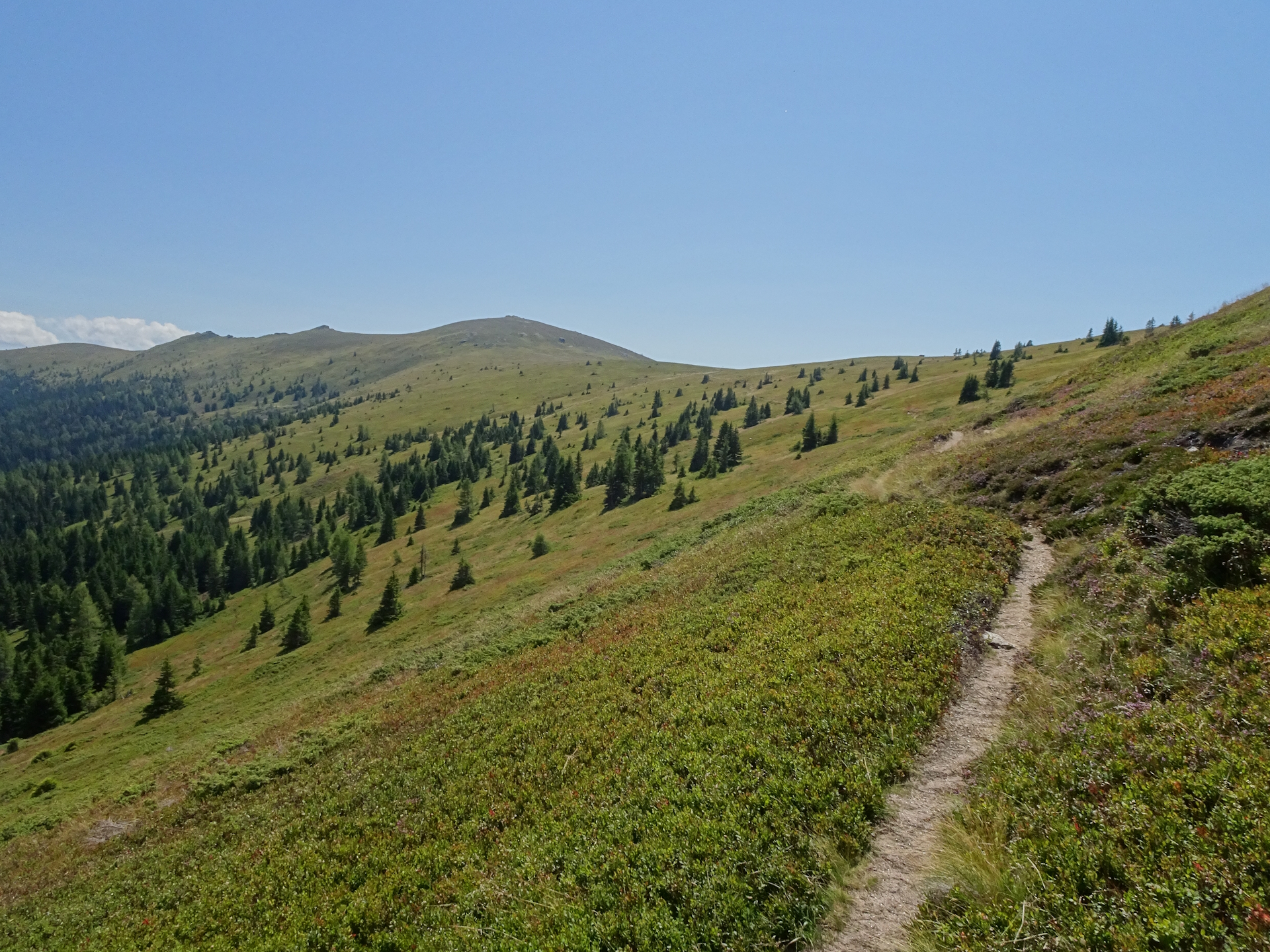 On the trail towards <i>Bernsteinhütte</i>