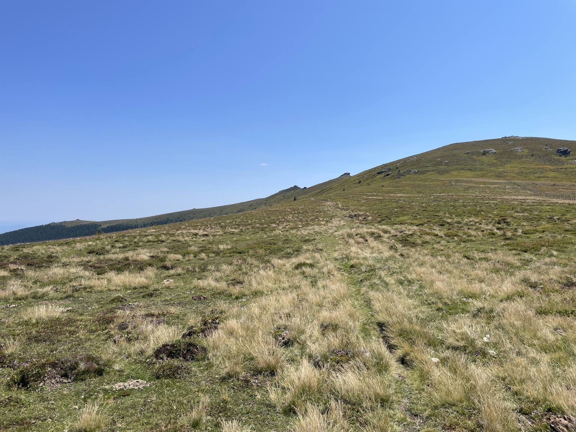 On the very sun exposed trail towards <i>Bernsteinhütte</i>