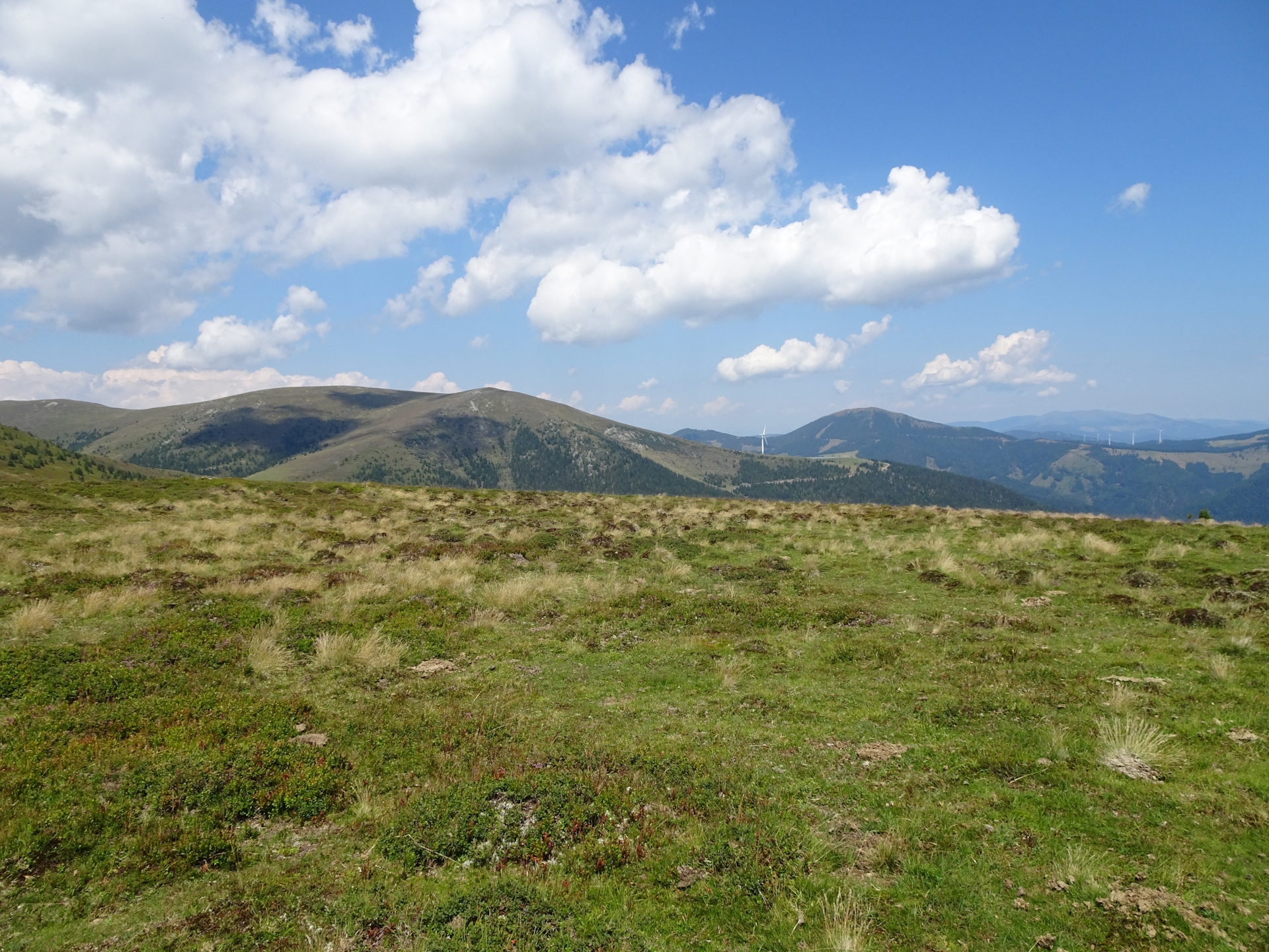 View back from the trail towards <i>Bernsteinhütte</i>