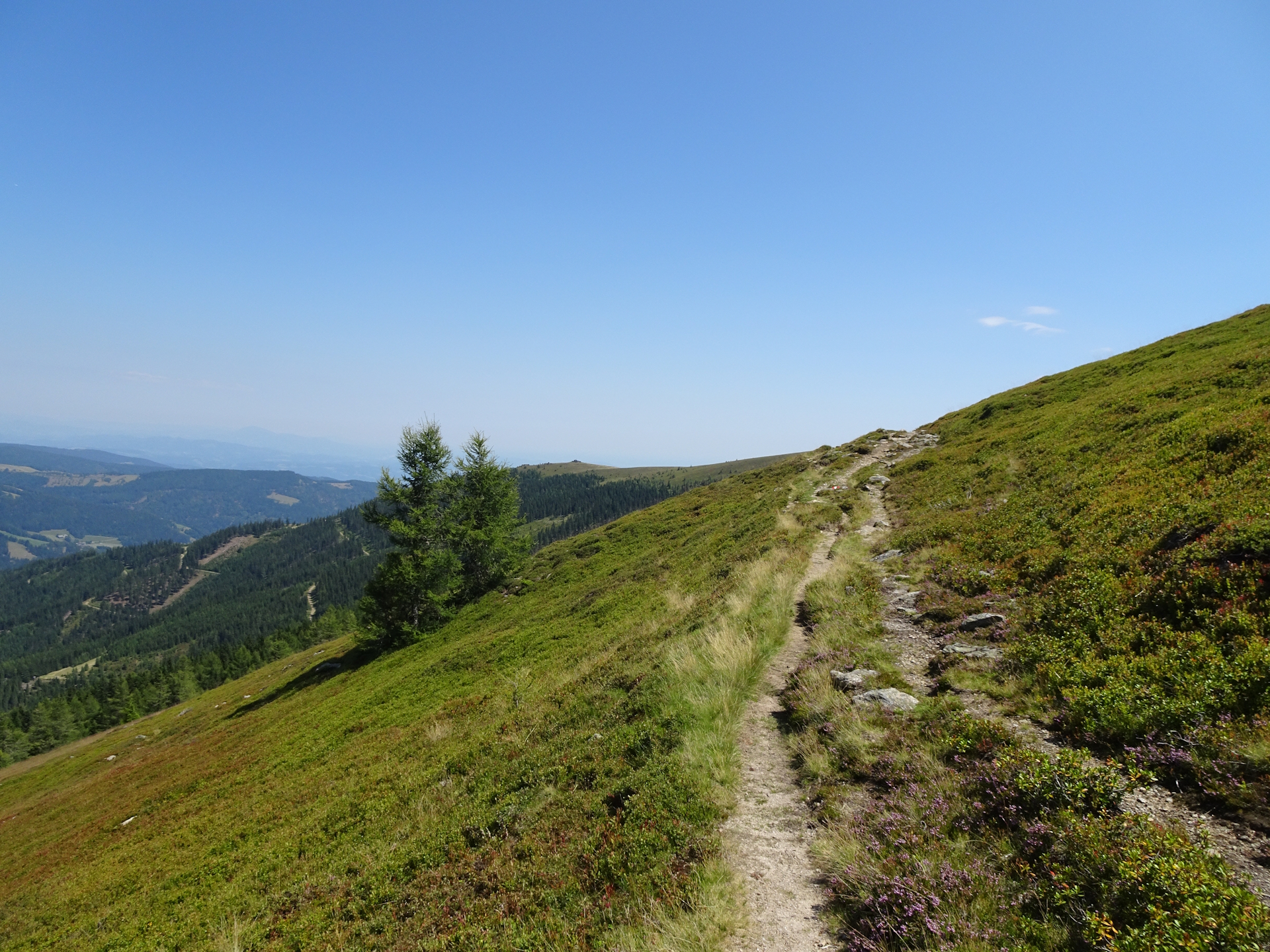On the trail towards <i>Bernsteinhütte</i>
