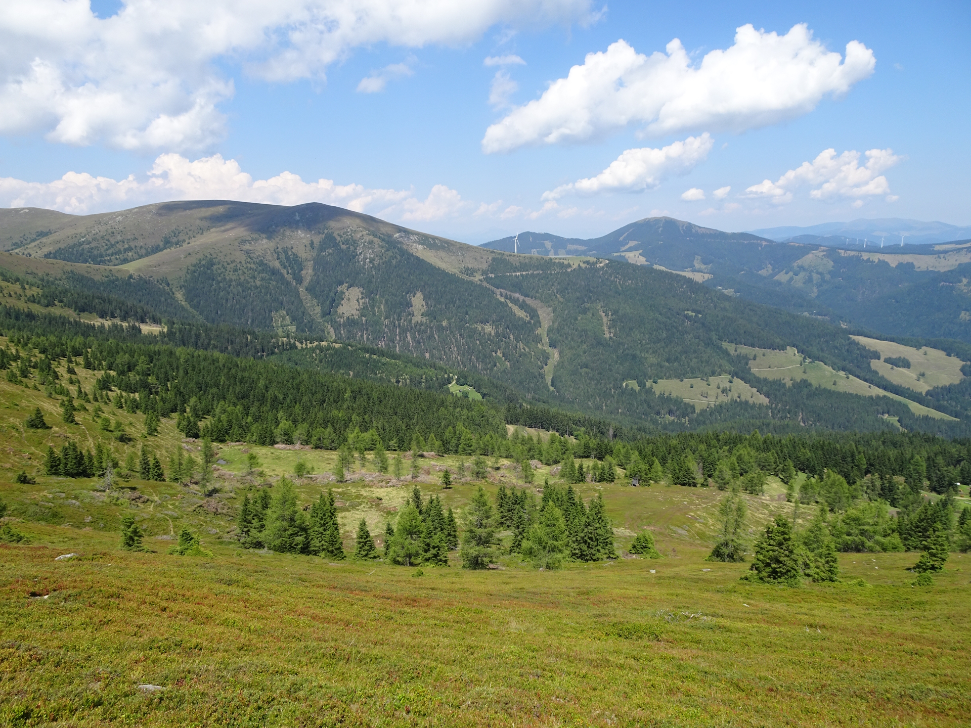 View back from the trail towards <i>Bernsteinhütte</i> (till <i>Altes Almhaus</i>)