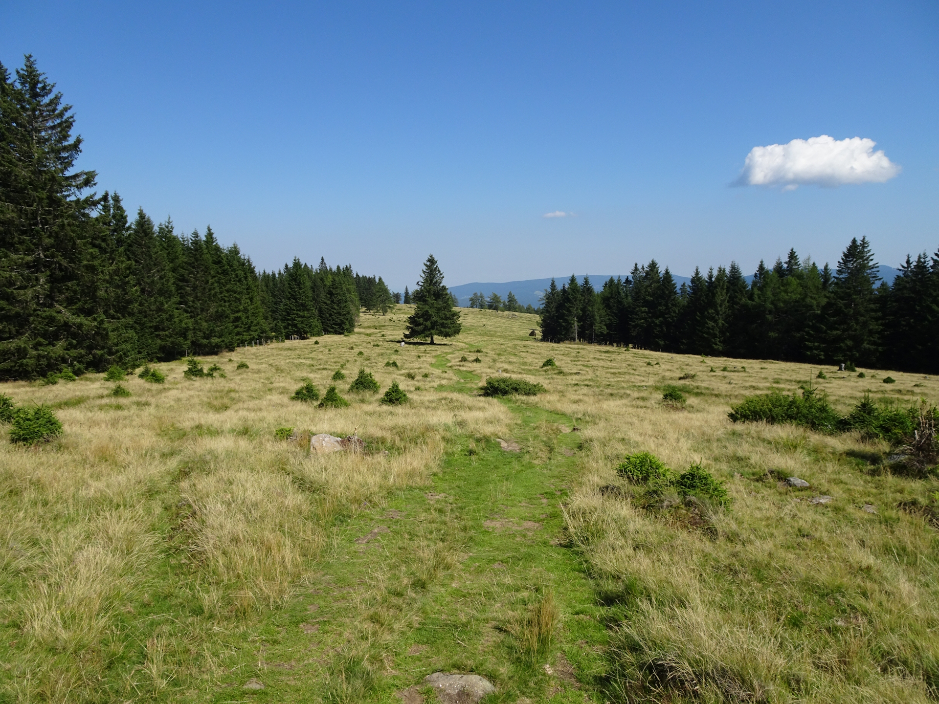 On the trail towards <i>Barbarahaus</i> (just before the <i>Knödelhütte</i>)