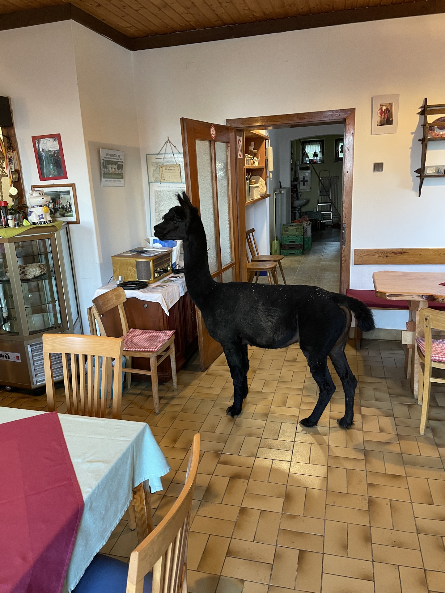 <i>Baron</i> needs attention